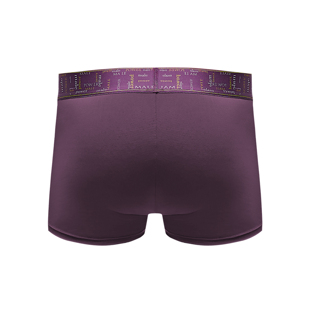 Ropa interior masculina Enhancer Eggplant – morada 150249EGXL | Male Power