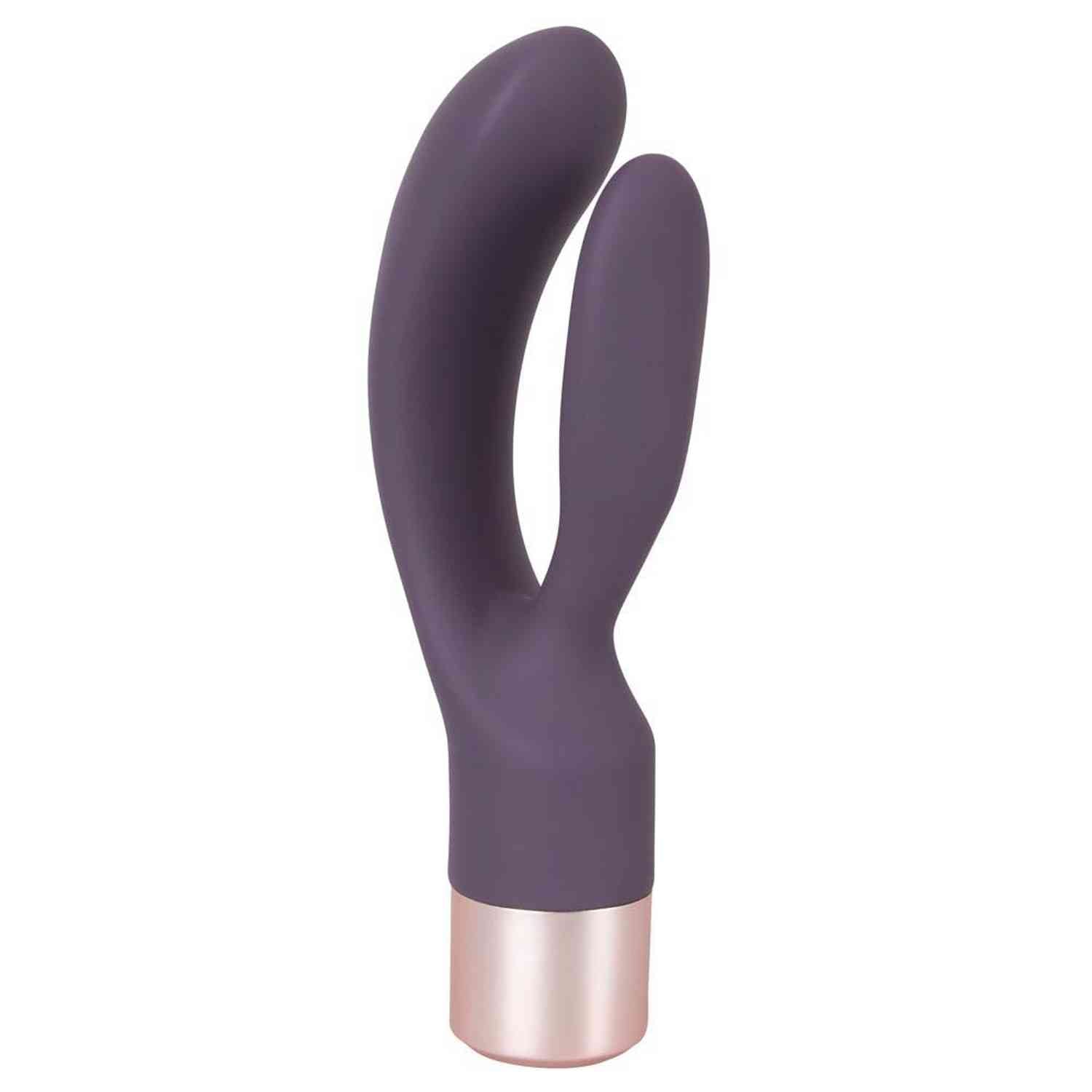 Vibreur élégant Double Vibe