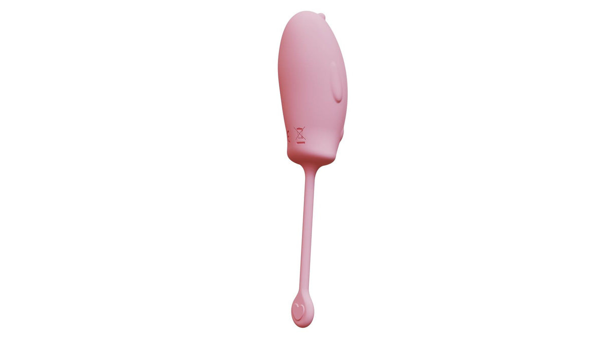 Huevo vibrador – recargable, rosa | Favorites