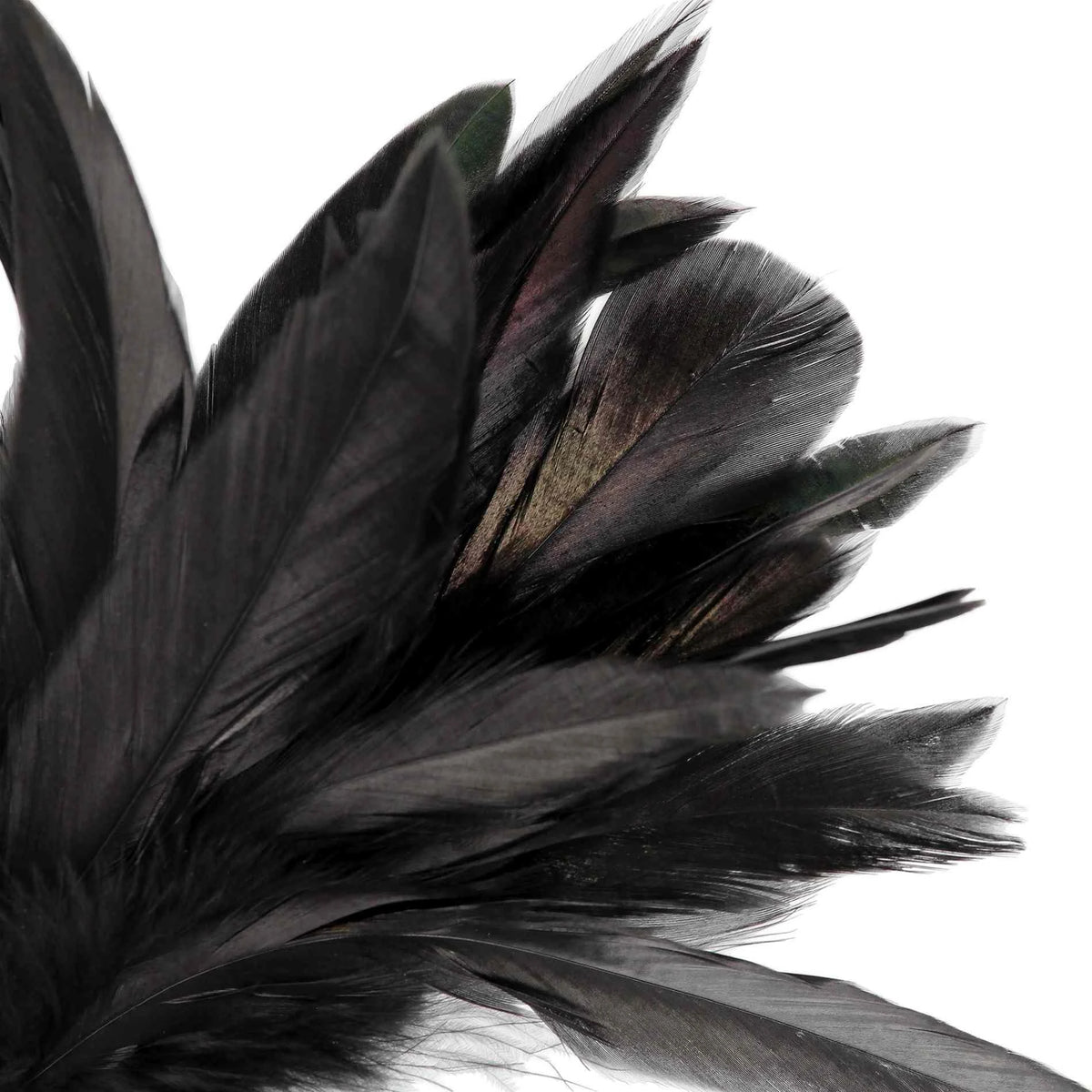 Frusta Feather Tickler – nera 14 cm | Ouch!