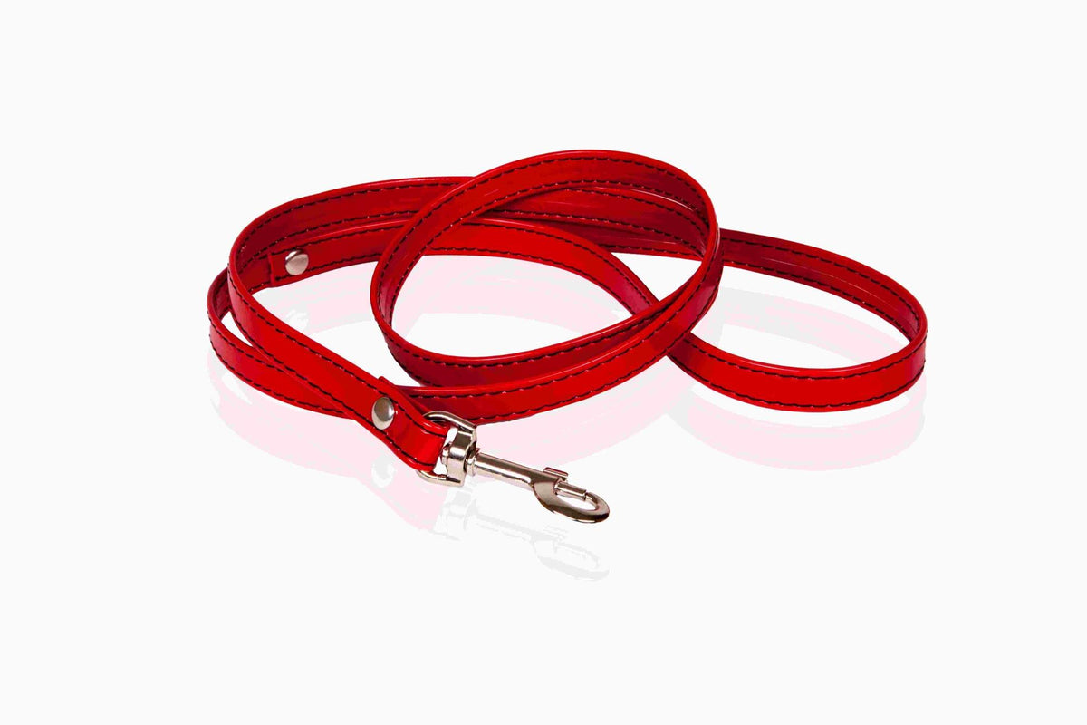 Costrizione bondage Whips lakier smycz obroży – wetlook