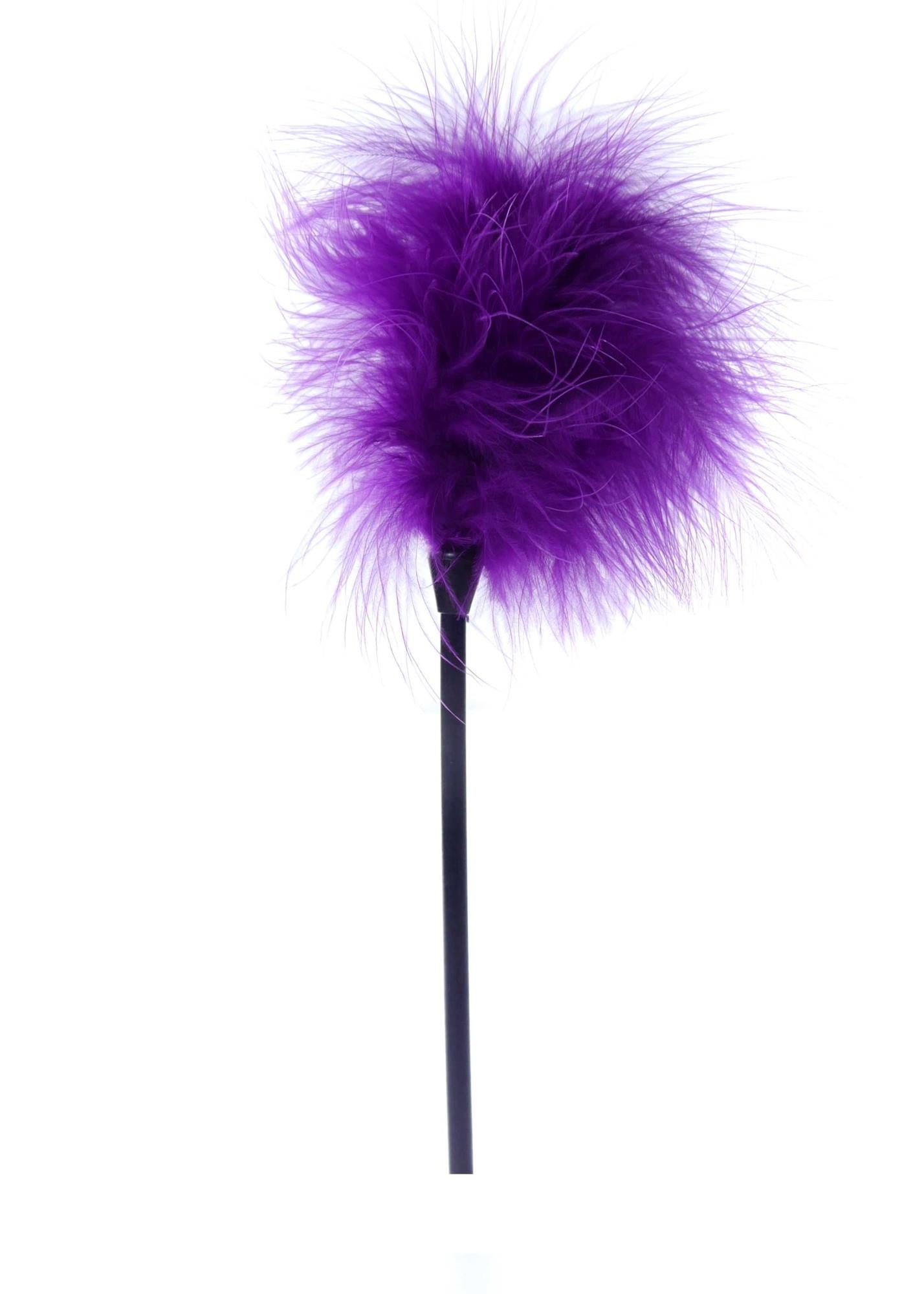 Plumeau Chatouilleur Violet - B - Série Fétichisme