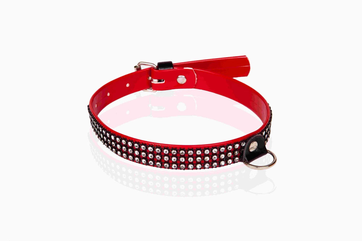 Entrave bondage Whips lakier damskaz – wetlook, rouge