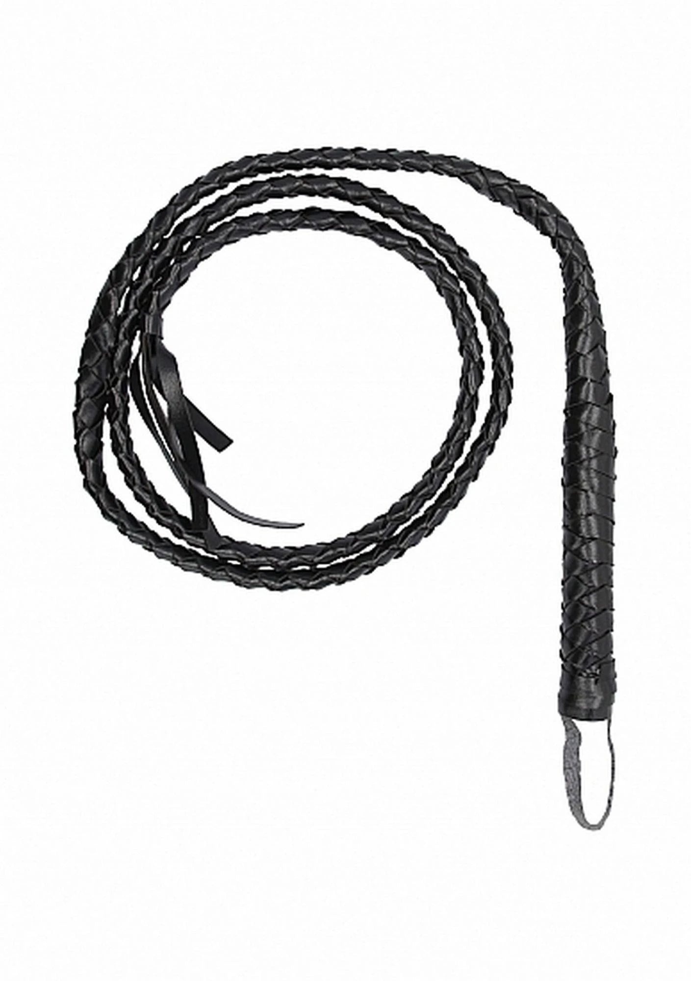 Frusta contorta