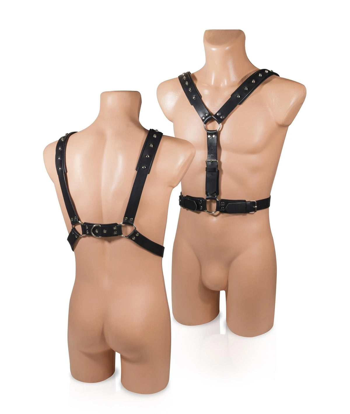 Harnais strap-on Whips 58-00030