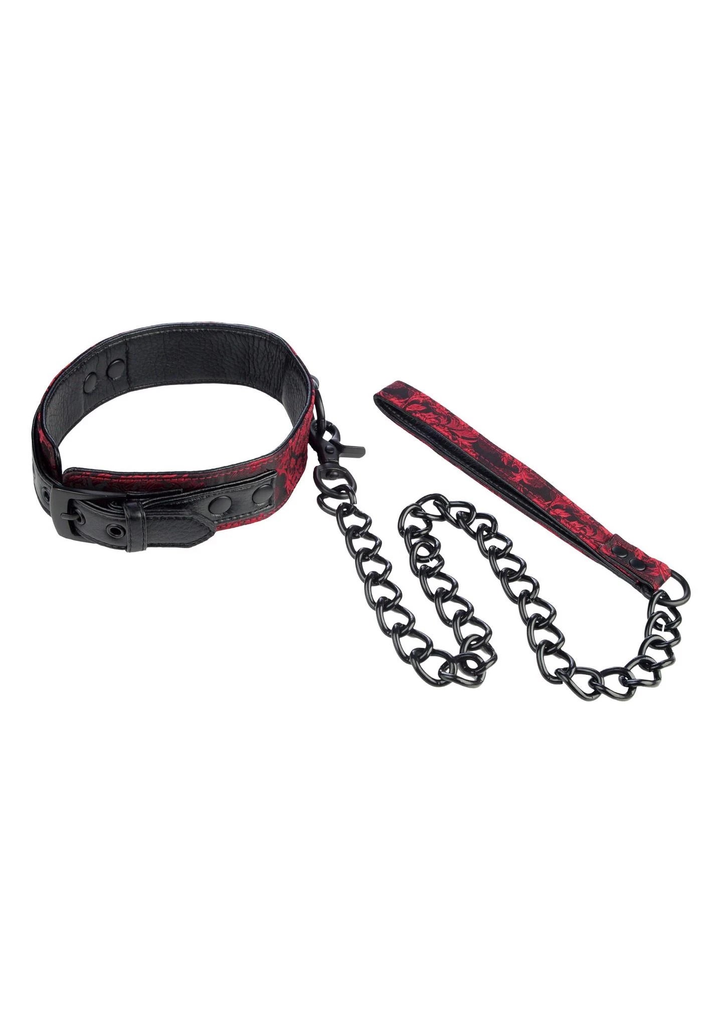 Collier scandale avec laisse noire