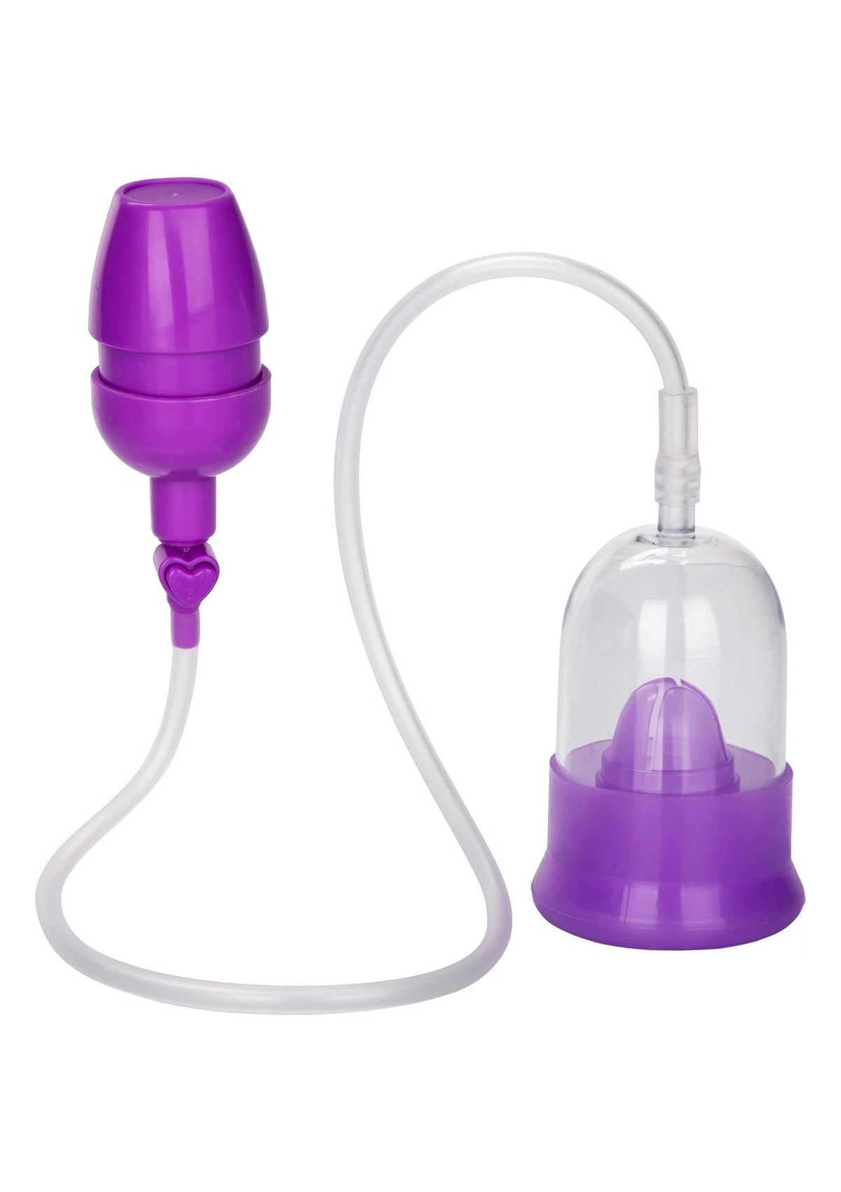 Pompa per il pene – viola | Calexotics