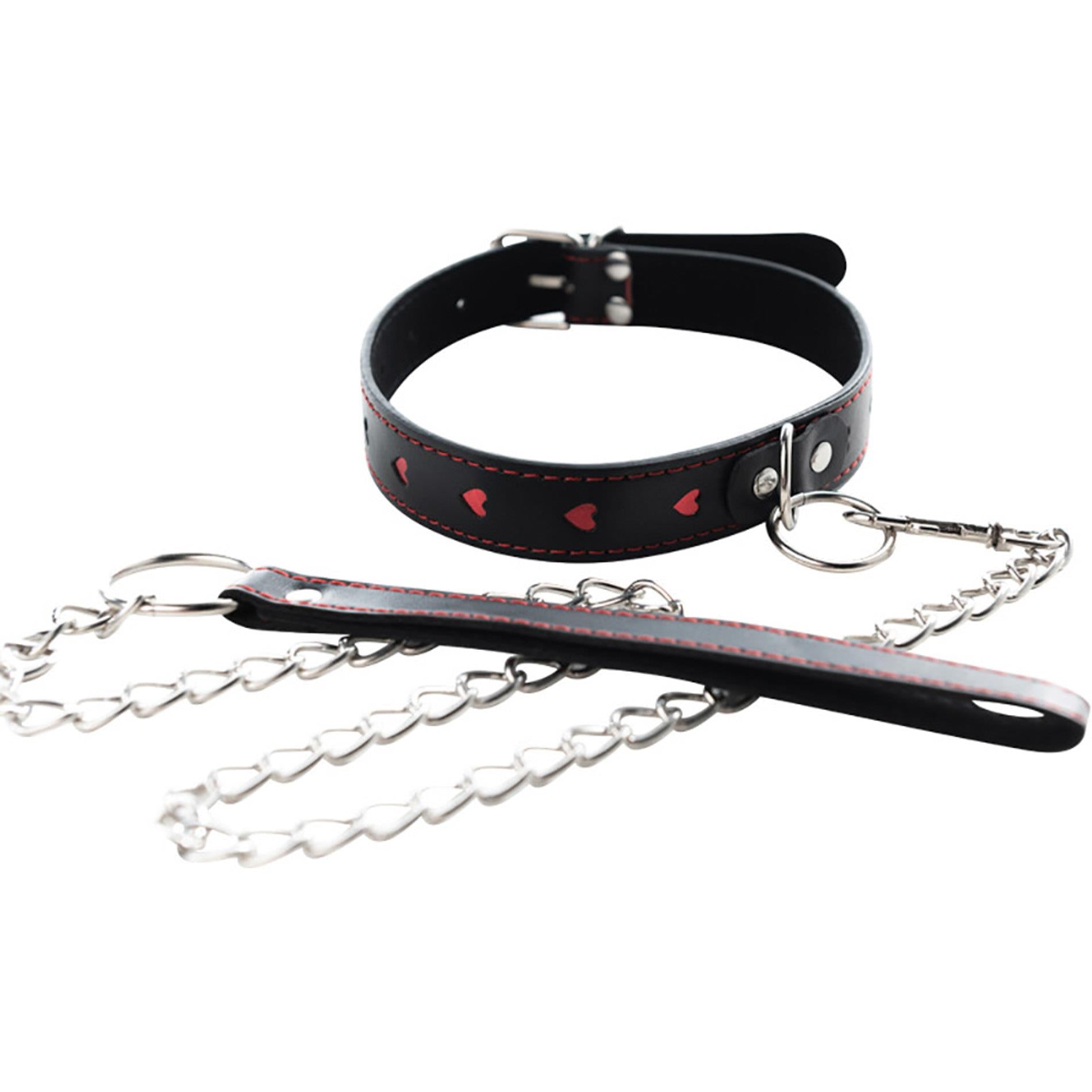 Collier avec laisse détachable