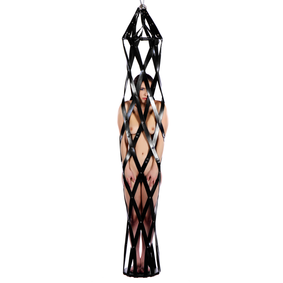Cage de sangle en cuir suspendue