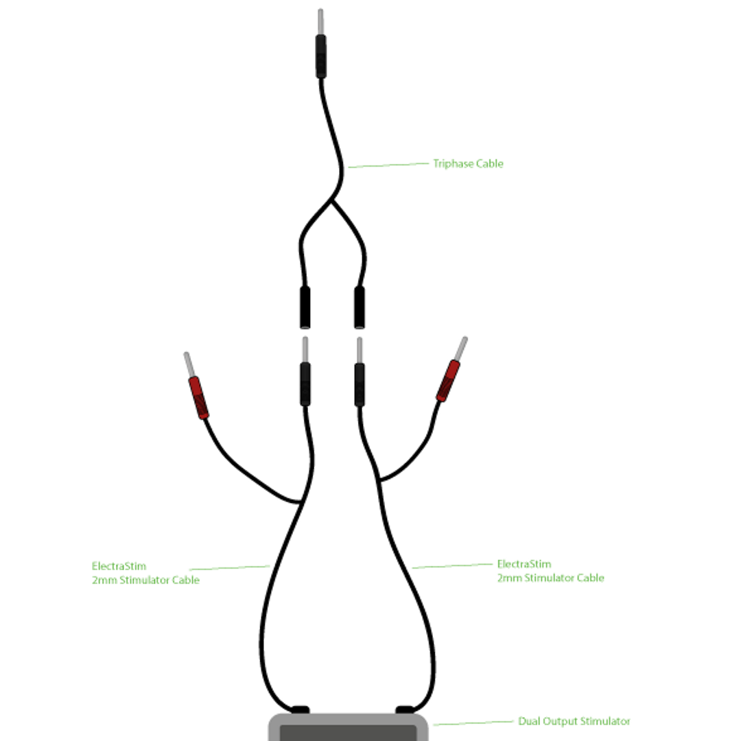 Acessório para brinquedos phase Combi cable – preto | ElectraStim