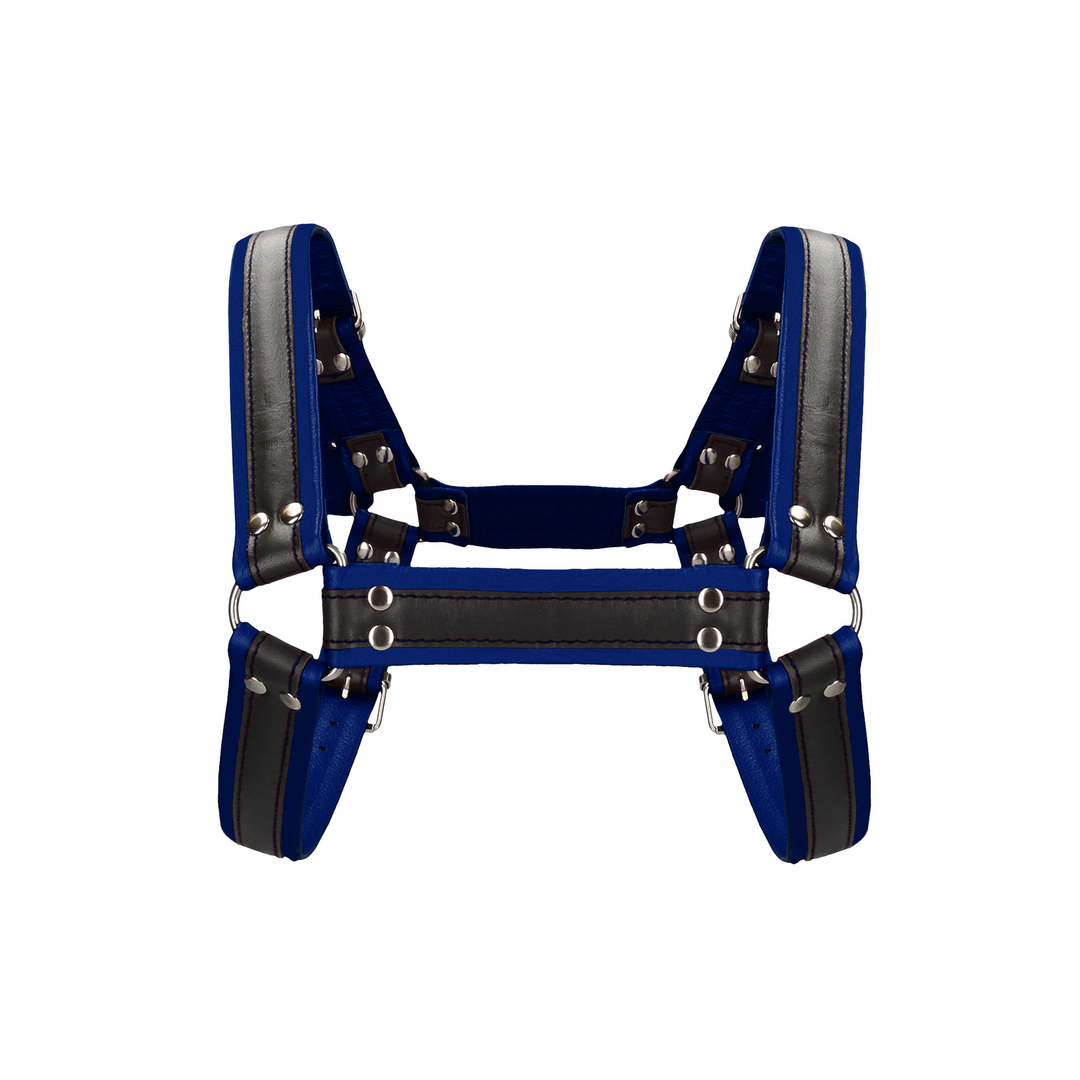 Imbracatura strap-on Bulldog Buckles – blu | Ouch!