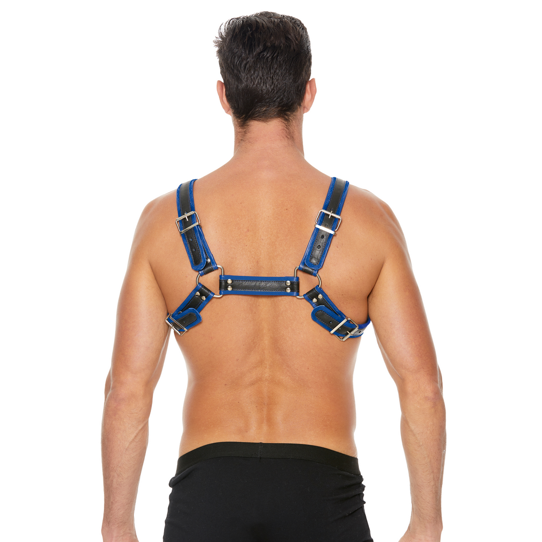 Imbracatura strap-on Bulldog Buckles – blu | Ouch!