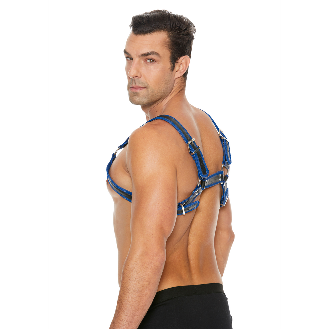 Imbracatura strap-on Bulldog Buckles – blu | Ouch!