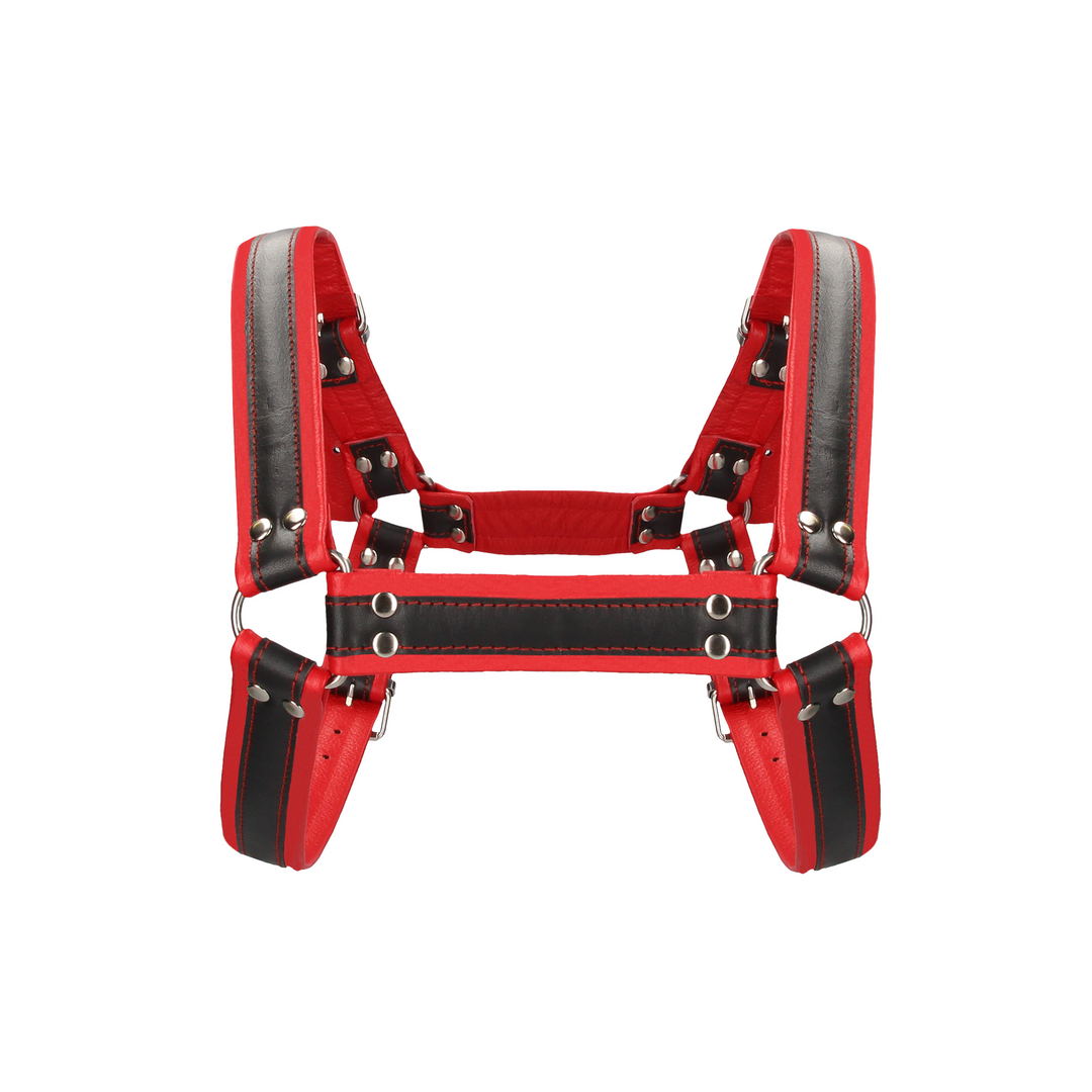 Imbracatura strap-on Bulldog Buckles – rossa | Ouch!