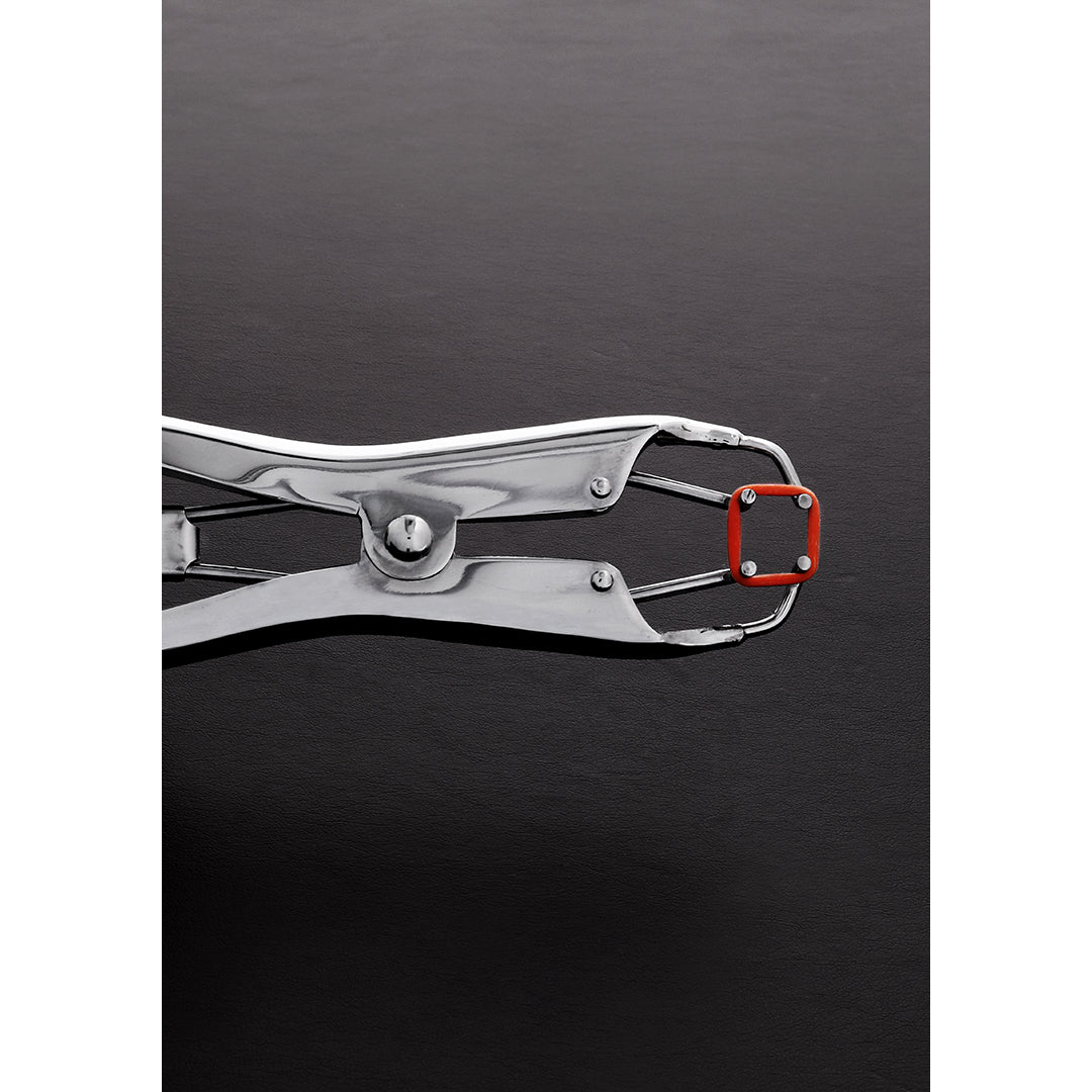 Stimolatore clitorideo Tit Torture Pliers 25 cm – argento