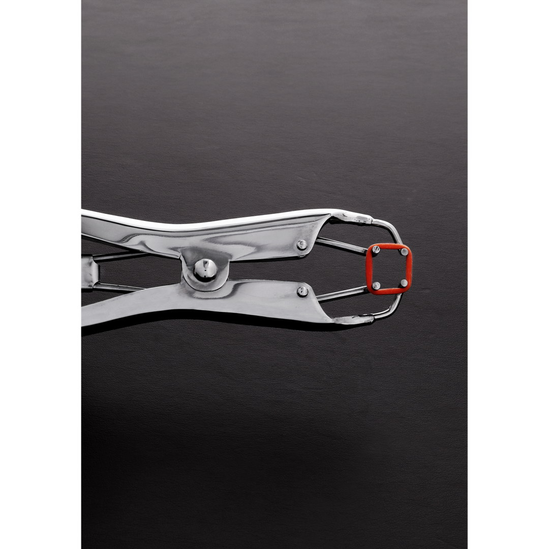 Stimolatore clitorideo Tit Torture Pliers 25 cm – argento