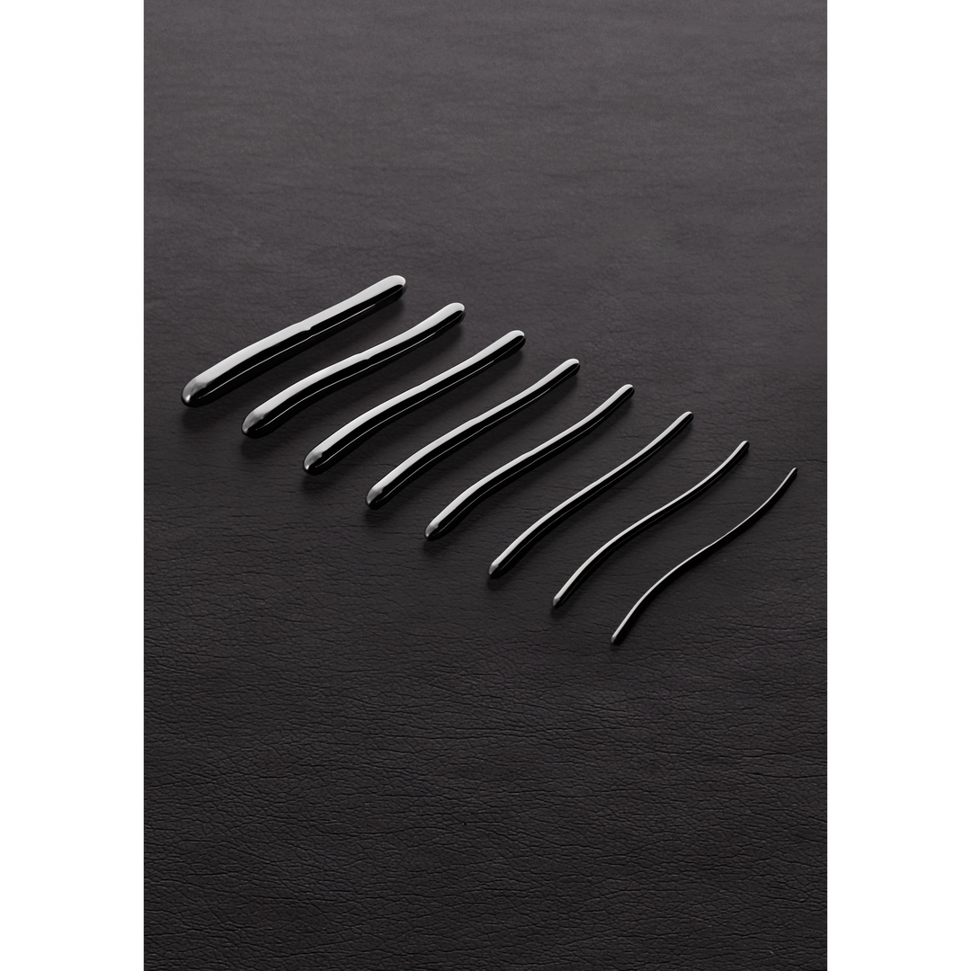 Acessório BDSM Hegar Sound End Dilator – duplo, prateado