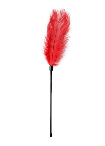Frusta Feather Tickler | EasyToys
