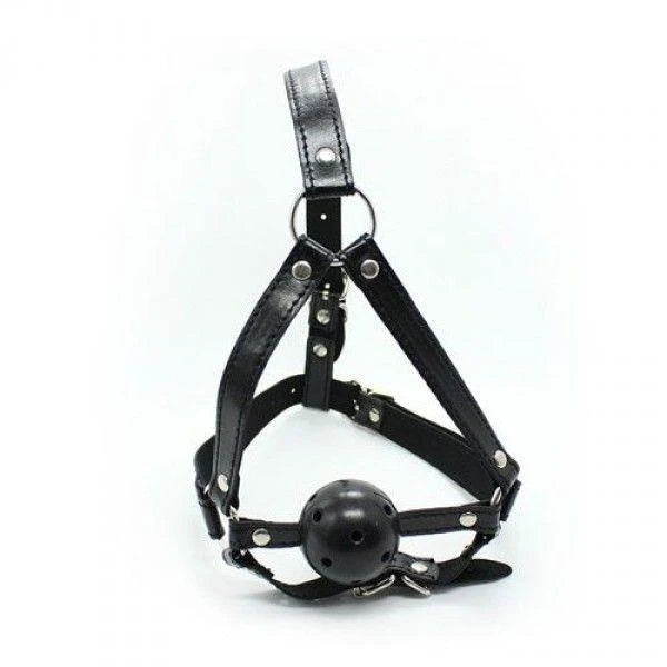 Gag Imbracatura Viso morso Head
