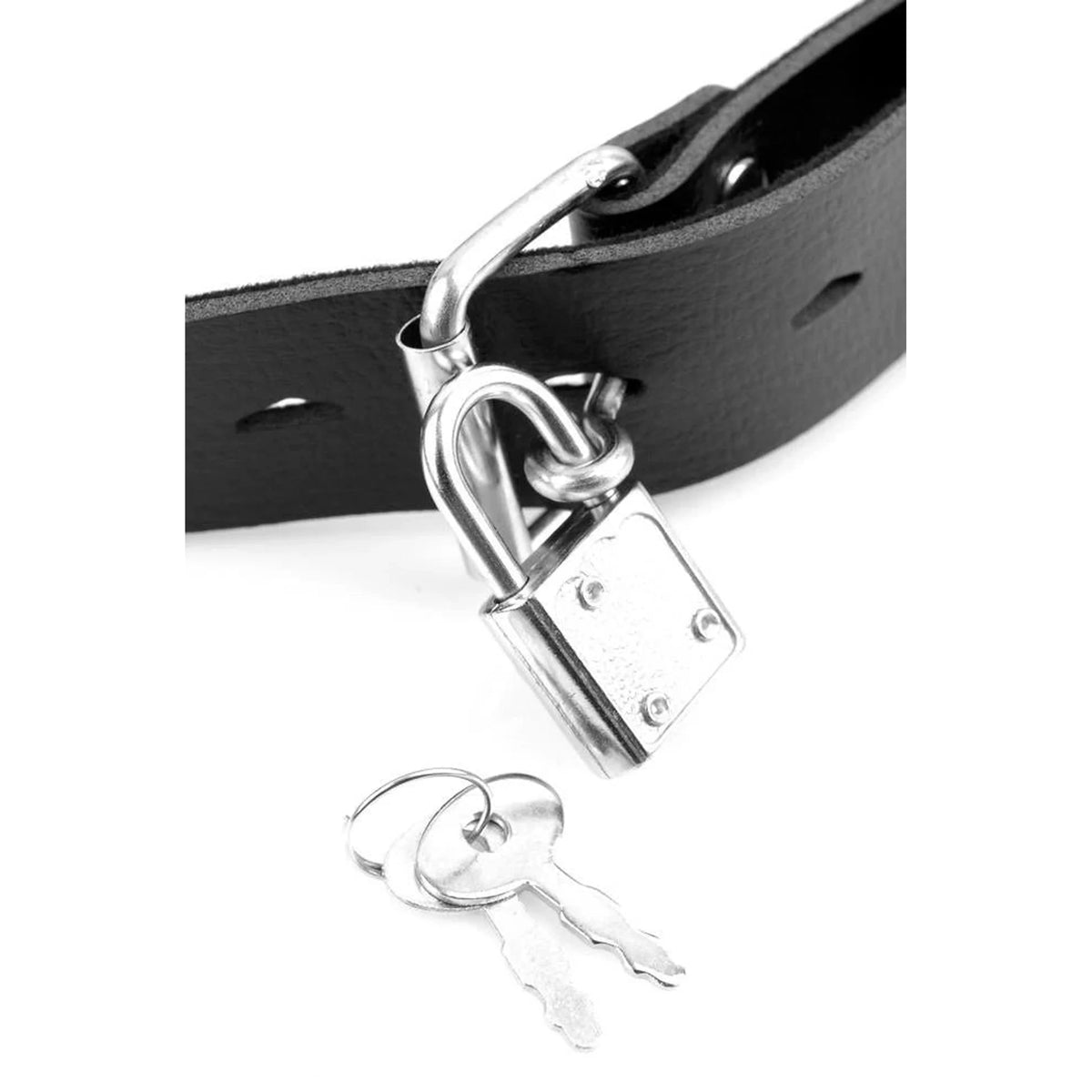 Gode ceinture 17.5 cm – noir | Fetish Fantasy Series