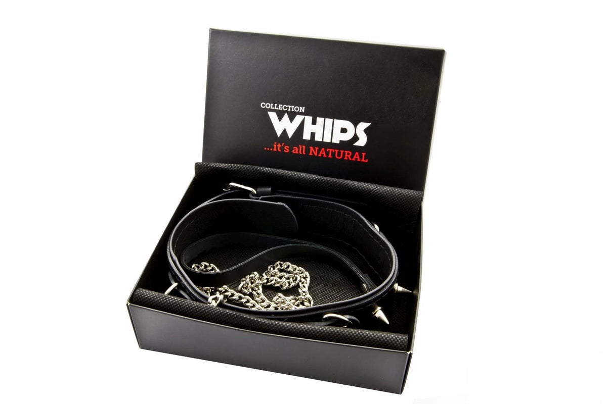 Costrizione bondage Whips półkółkami smyczą