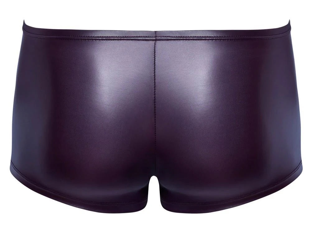 Pantalón de hombre Pants – morado | Svenjoyment