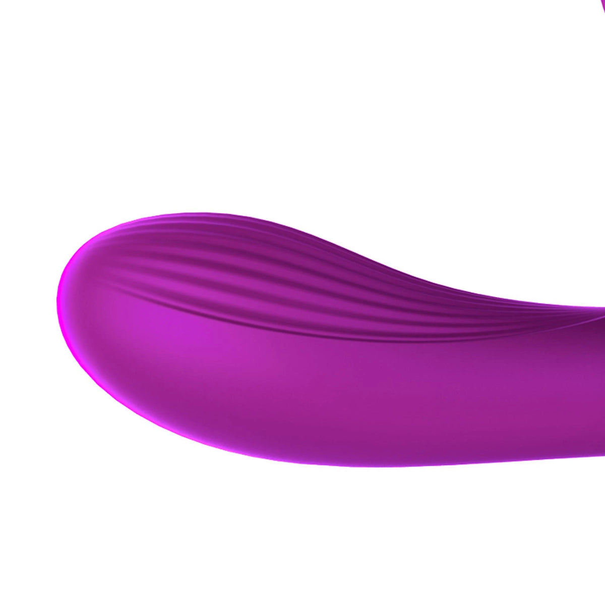 Clitoral stimulator Voice 10 functions – remote control, rechargeable, purple | Favorites