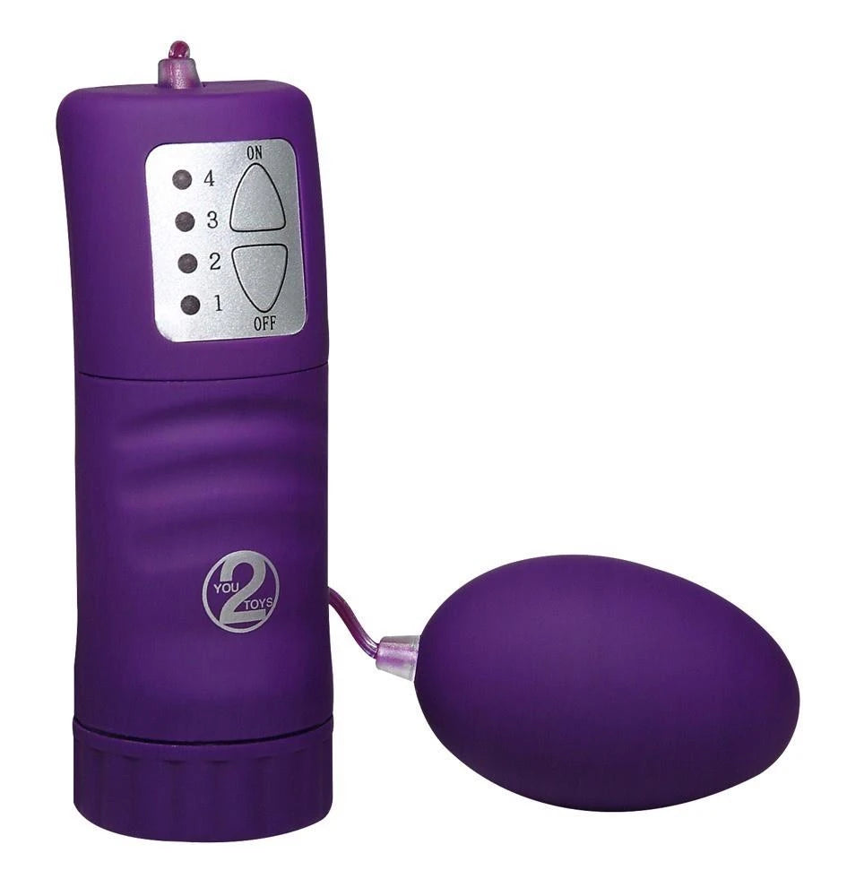 Purple bullet vibrator