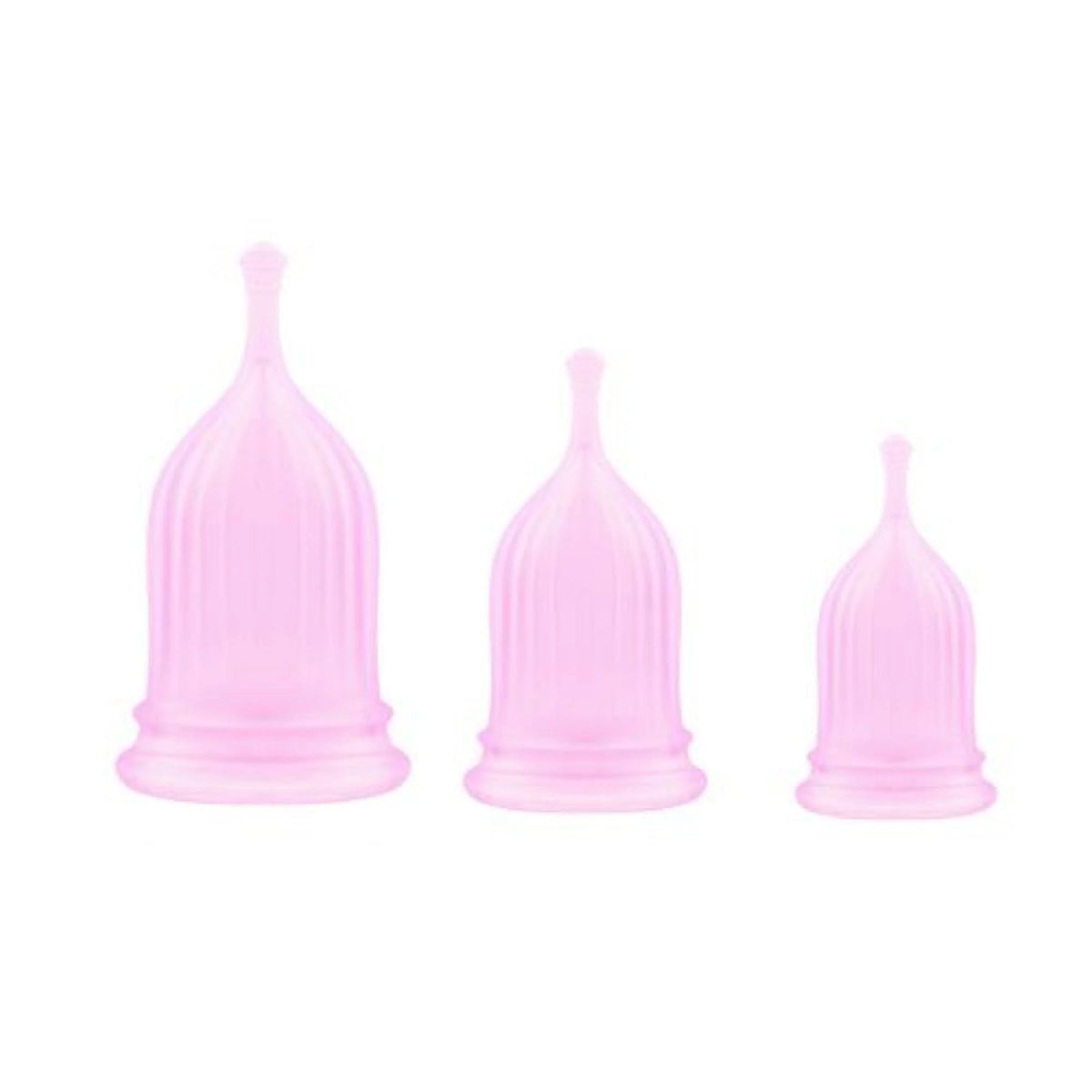 Prodotto per l'igiene intima Coppette mestruali Safe Dry | Elys