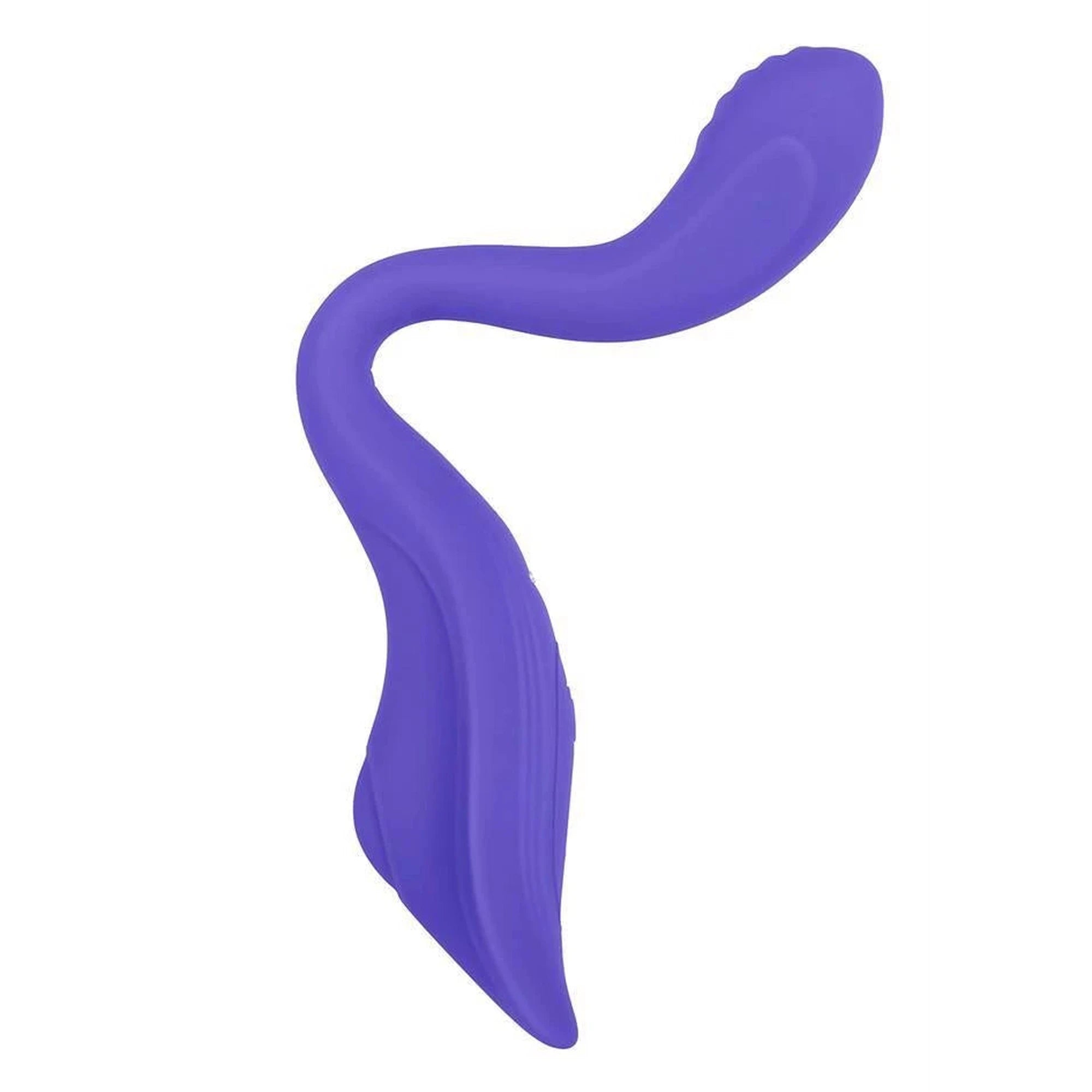 EVOLVED ANYWHERE VIBE