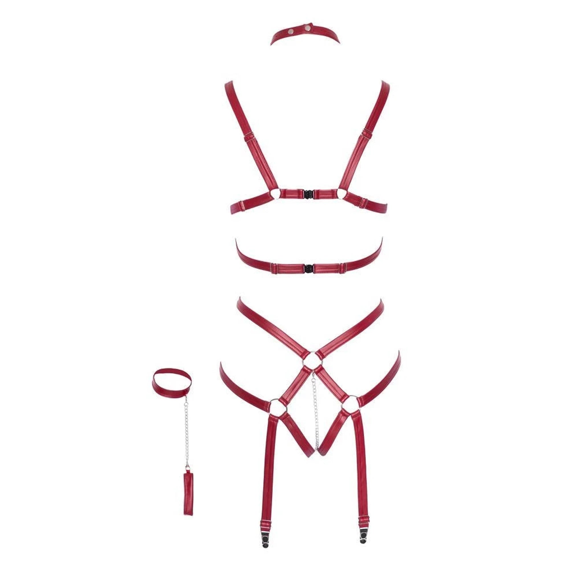 Body