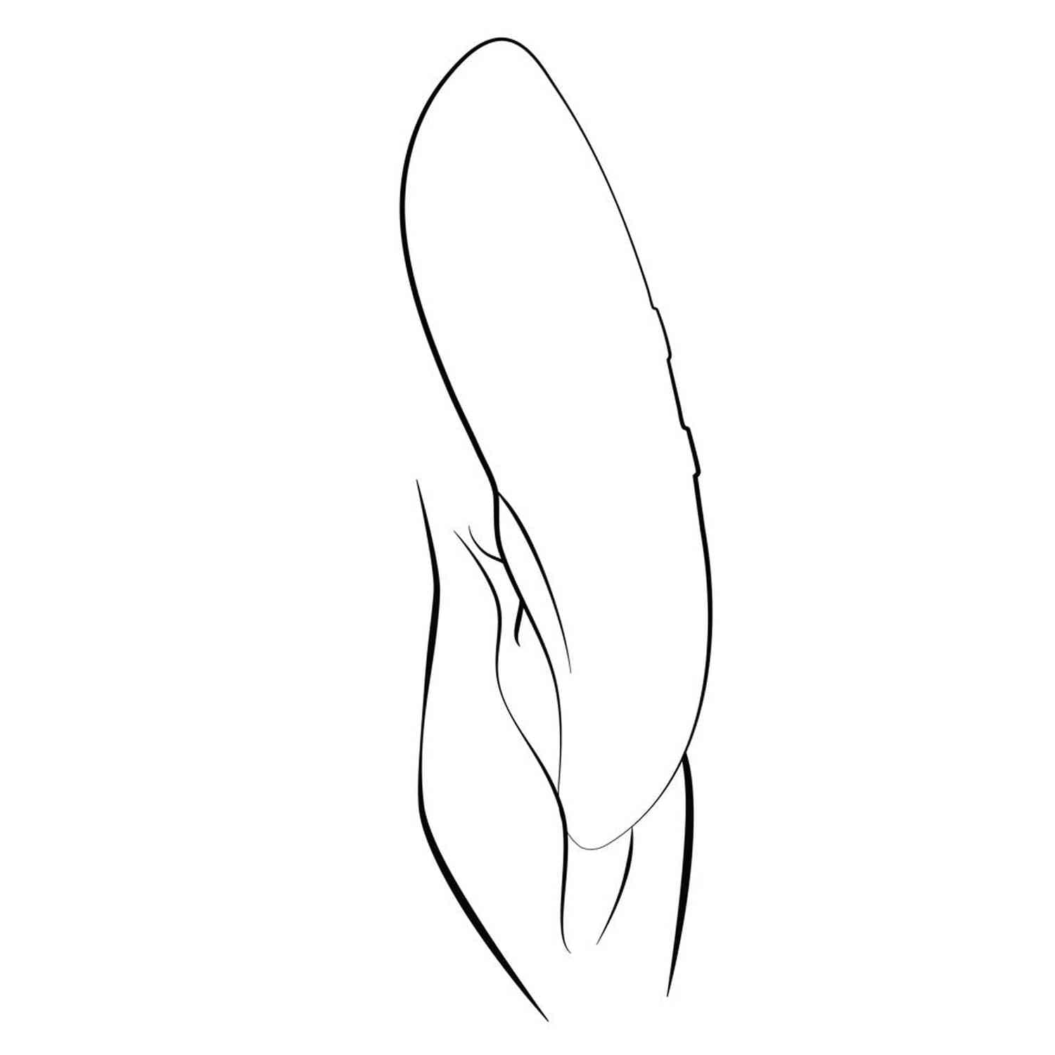 Touch X