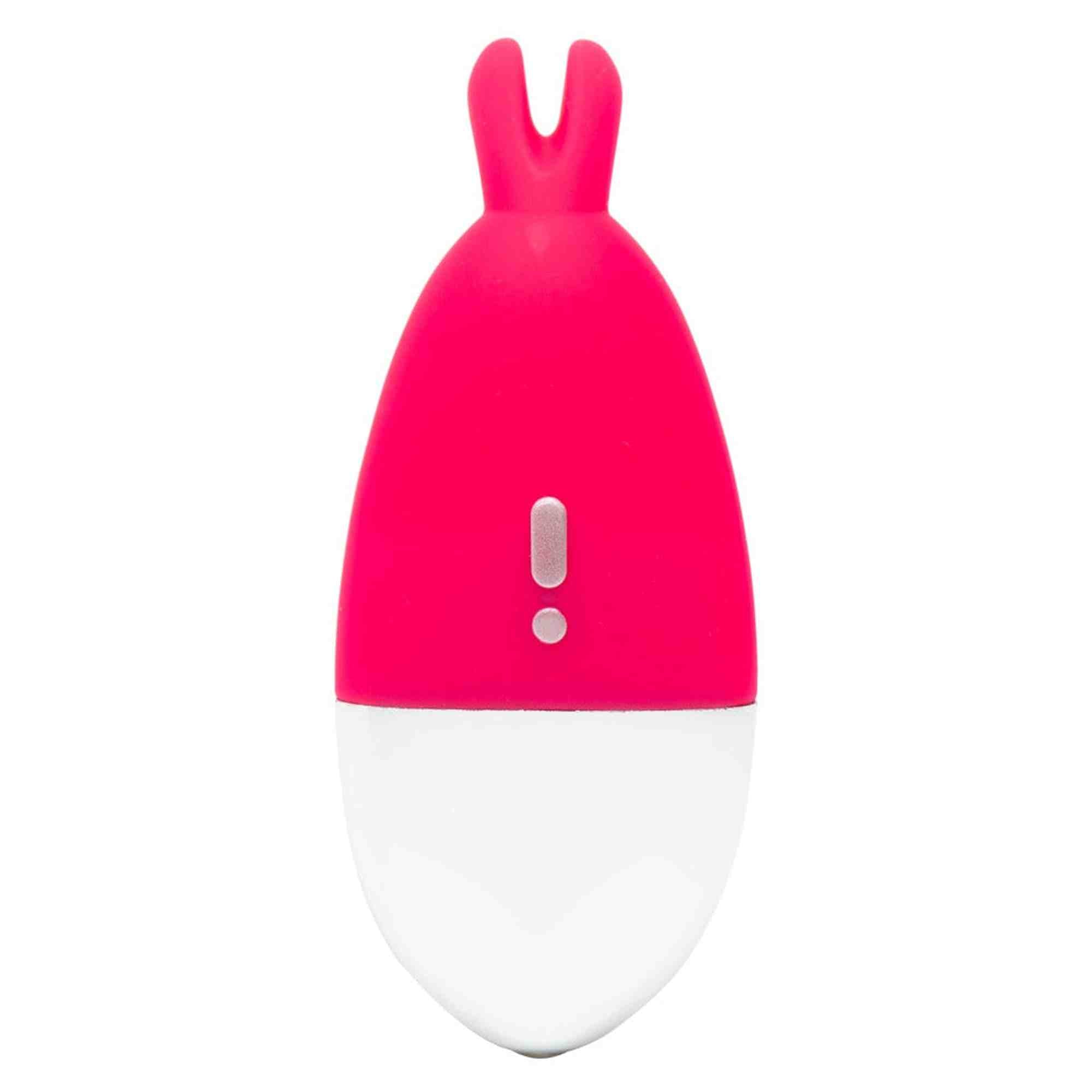 knicker vibrator