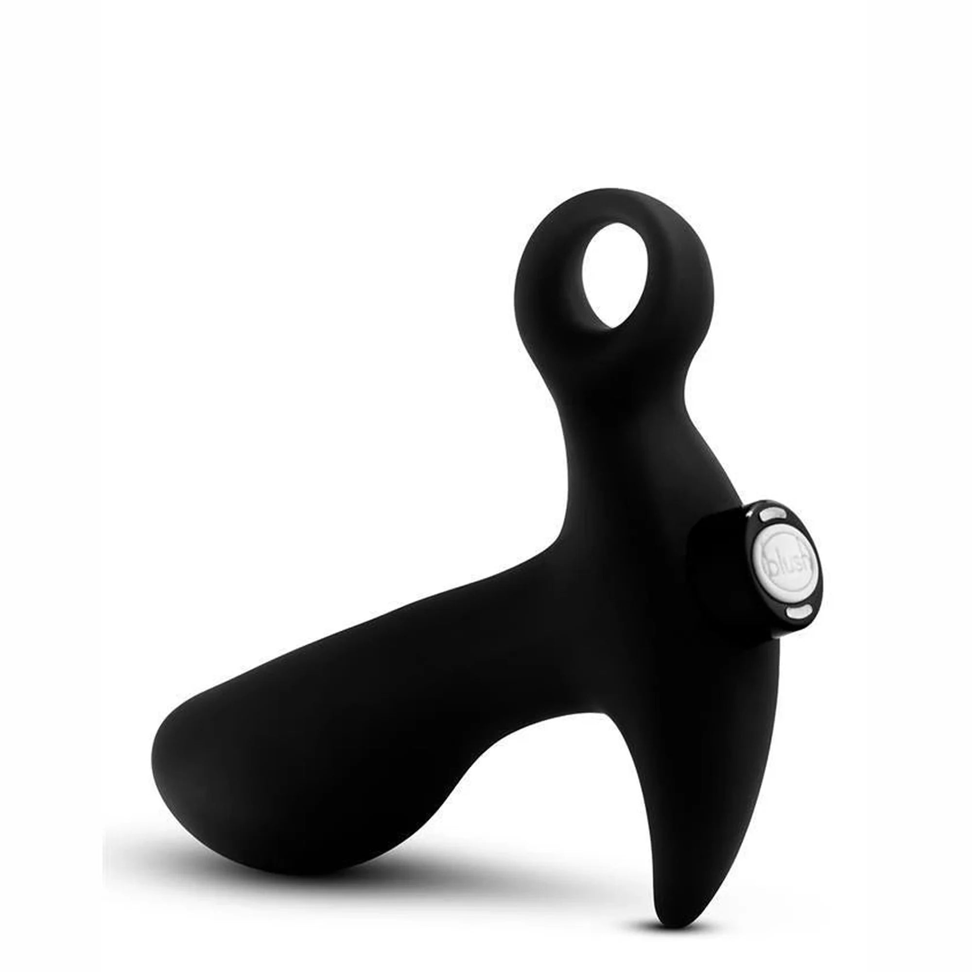 MASSEUR DE PROSTATE ANAL ADVENTURES 01
