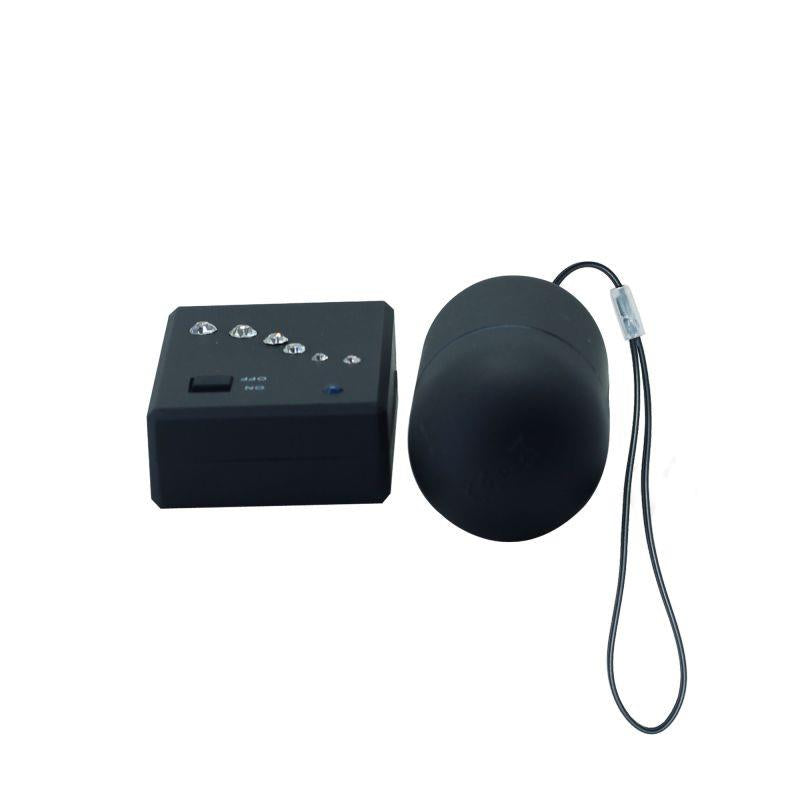 Timeless Crystal Lover Vibrating Egg