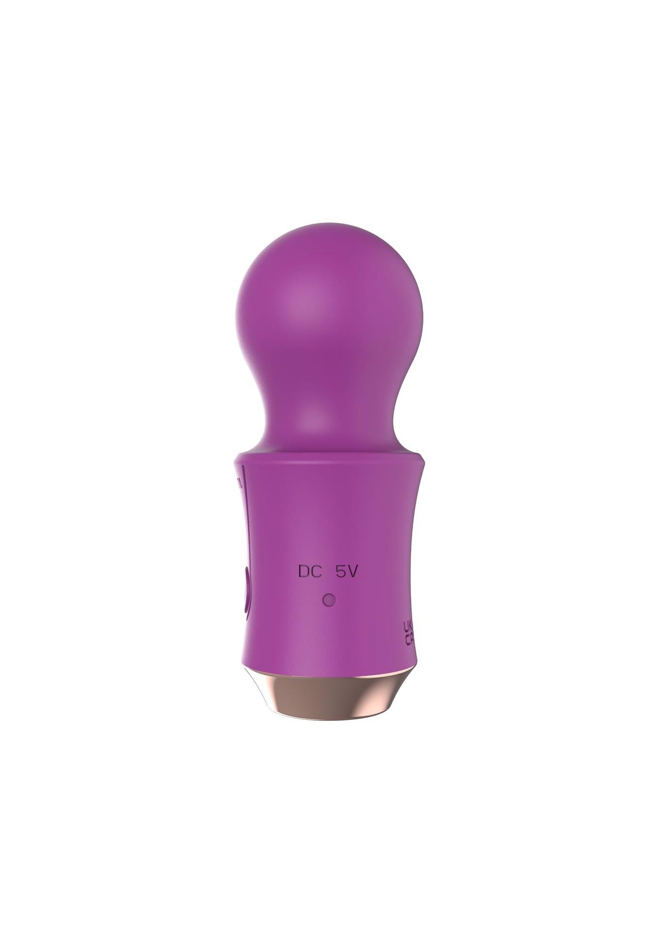 Le voyageur Wand Fuchsia