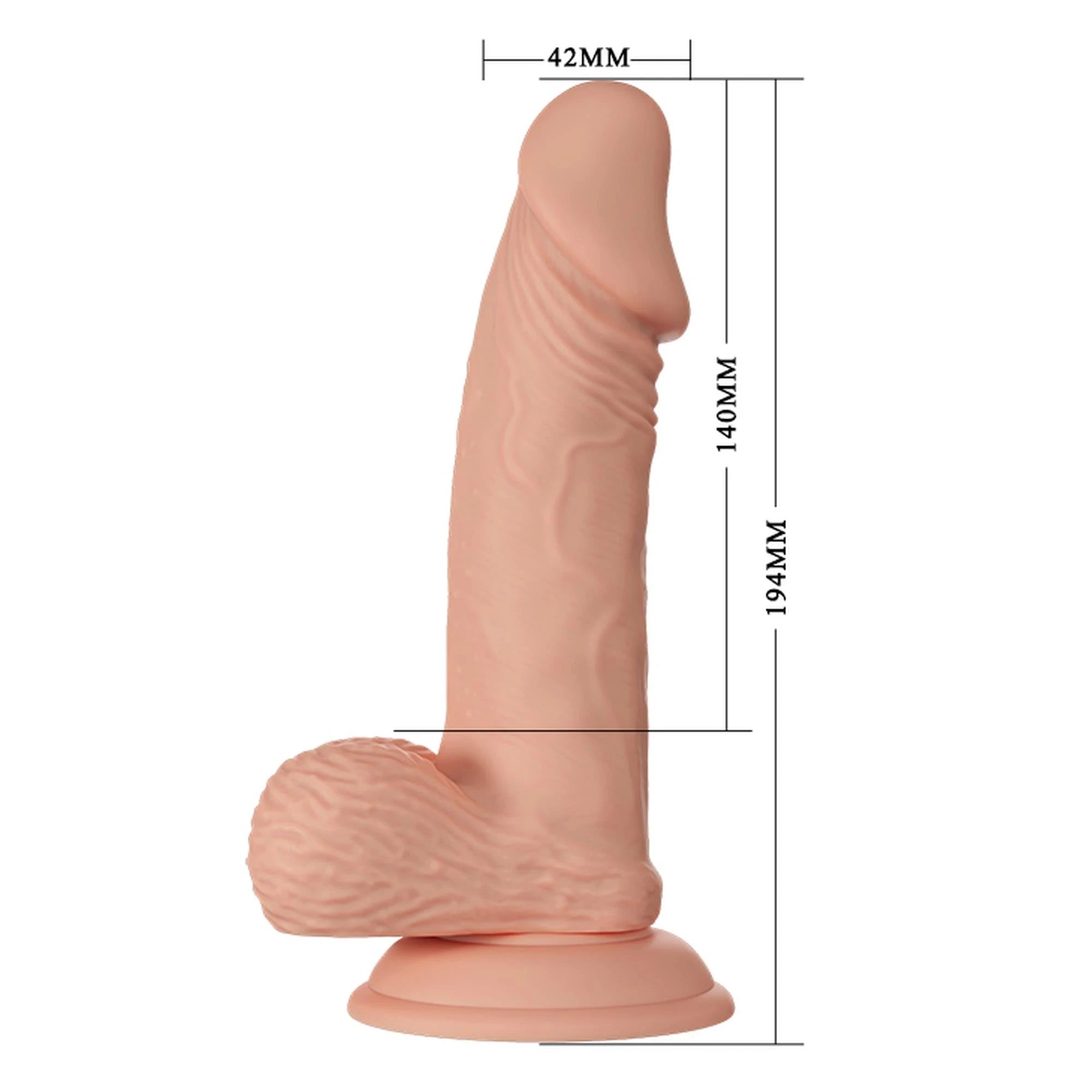 BAILE-Beautiful Zebulon 7.6″″
