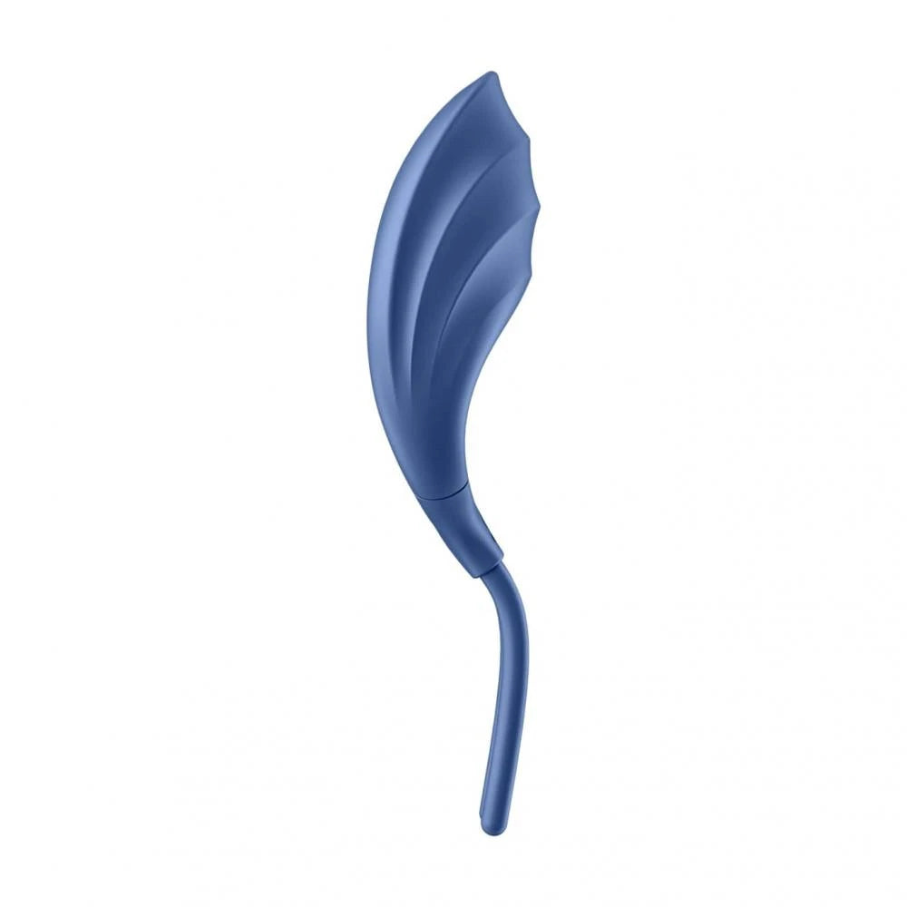 Ring-Swordsman (Blue)