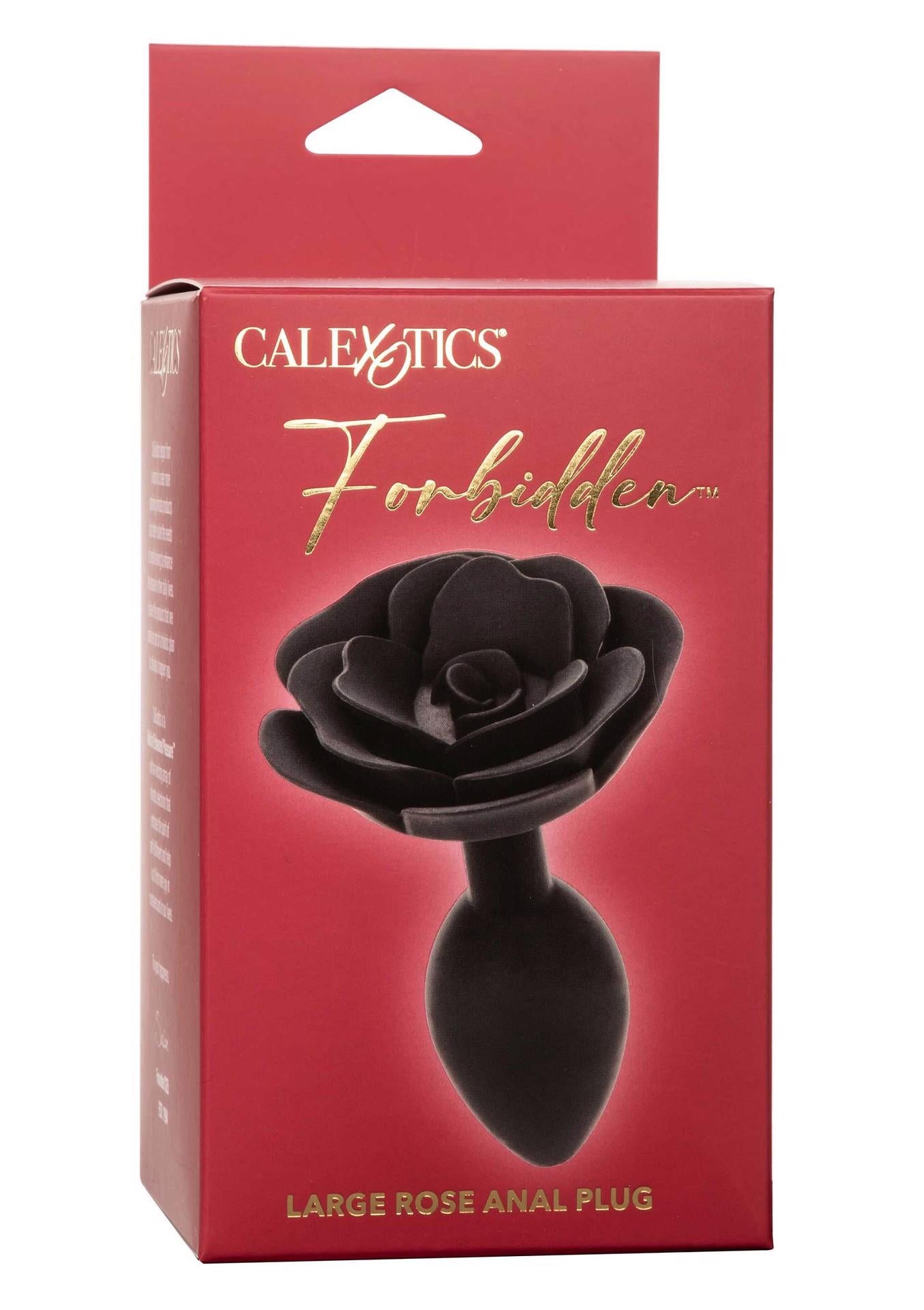 Grand plug anal rose noir