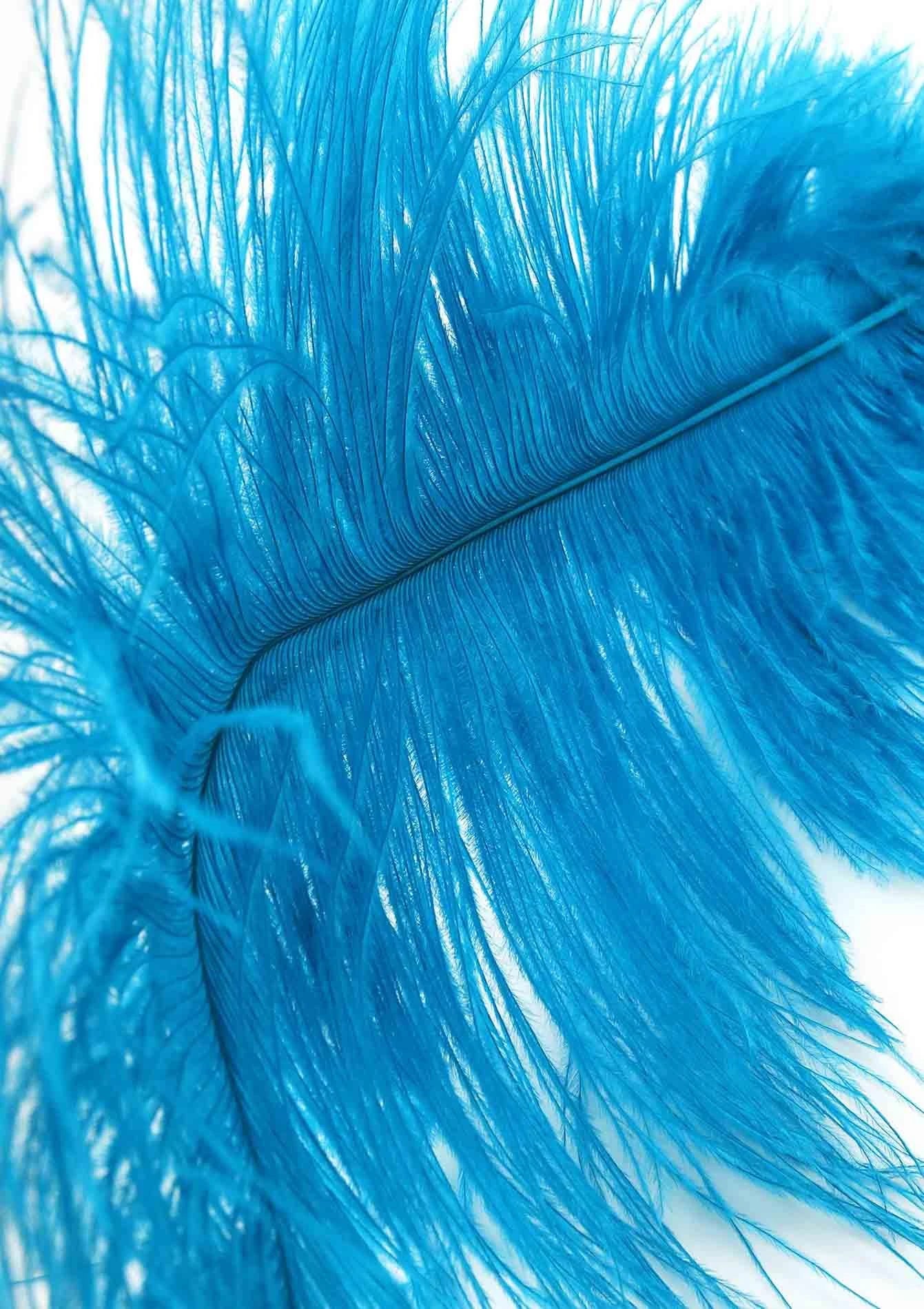 Double Feather Tickler Blue