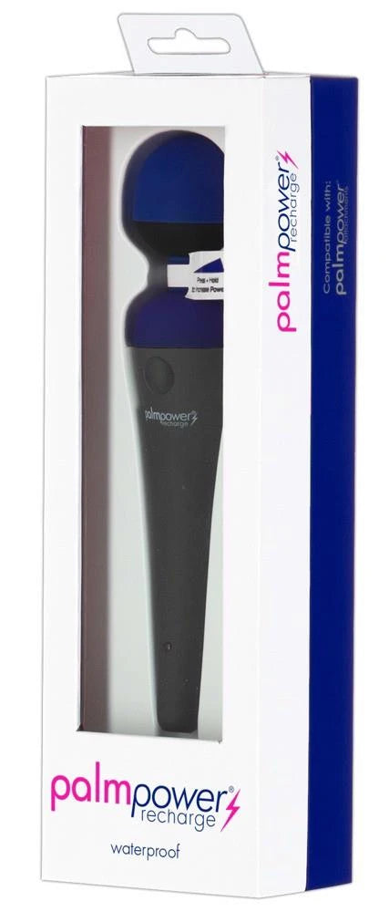 palmpower recharge bleu