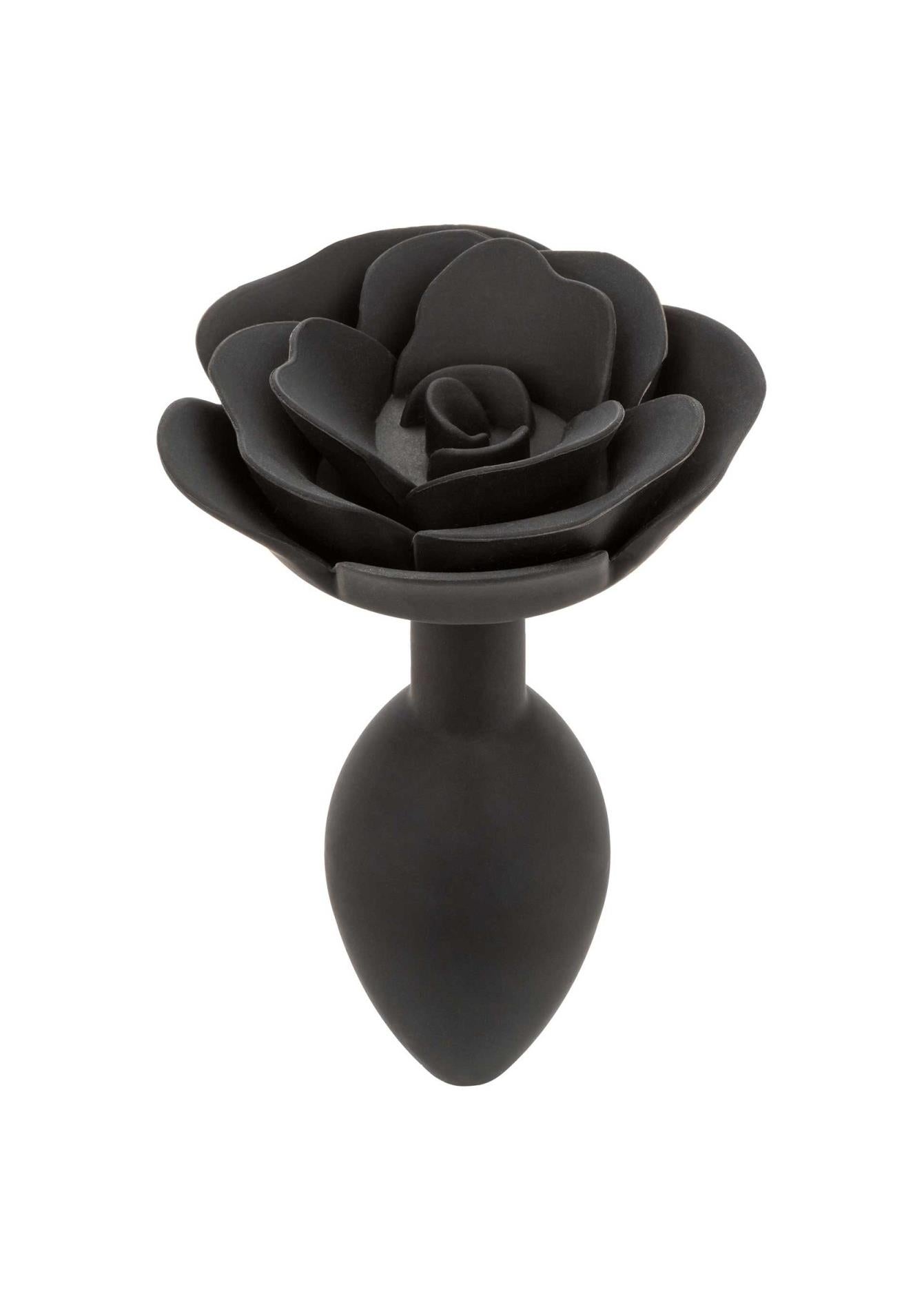 Grand plug anal rose noir