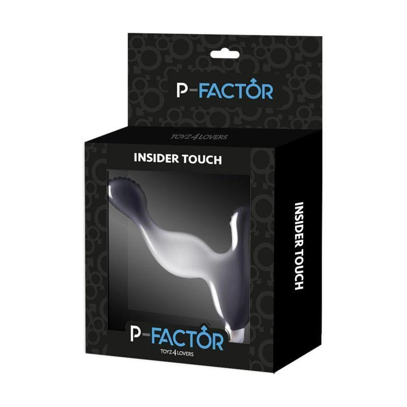Vibromasseur Anal Insider Touch