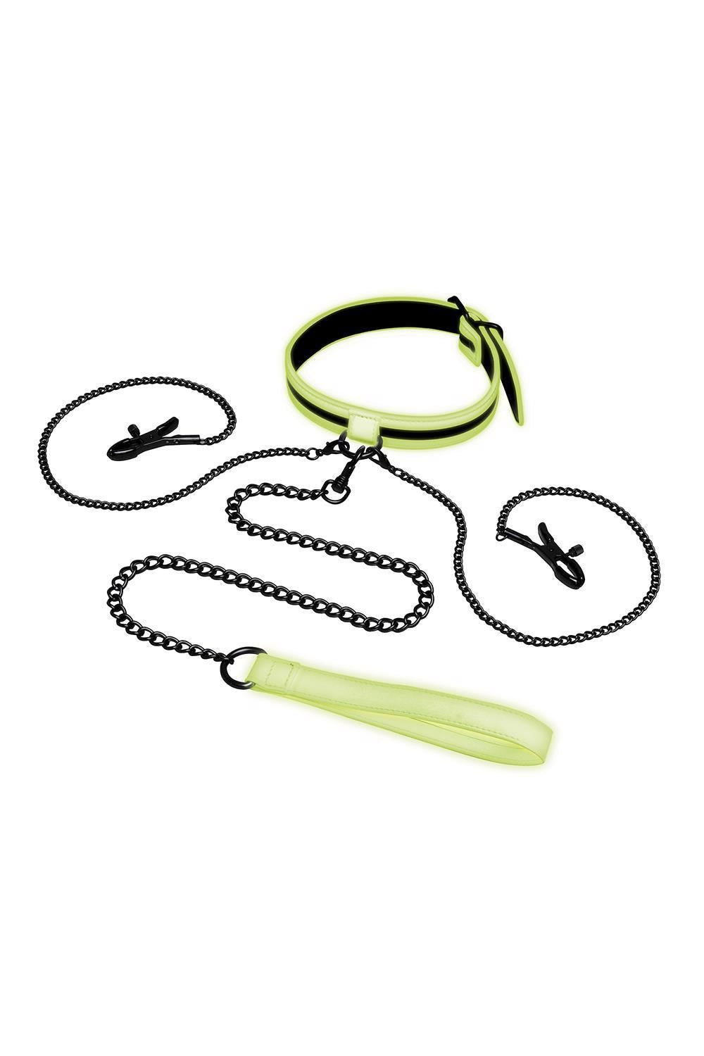 COLLIER LUMINEUX WHIPSMART AVEC PINCES À TÉTONS ET LAISSE