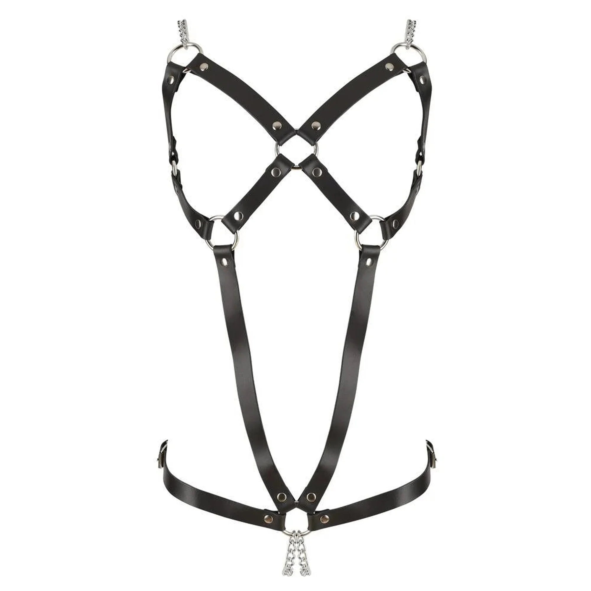 Harnais en Cuir 2 Chaînes S-L