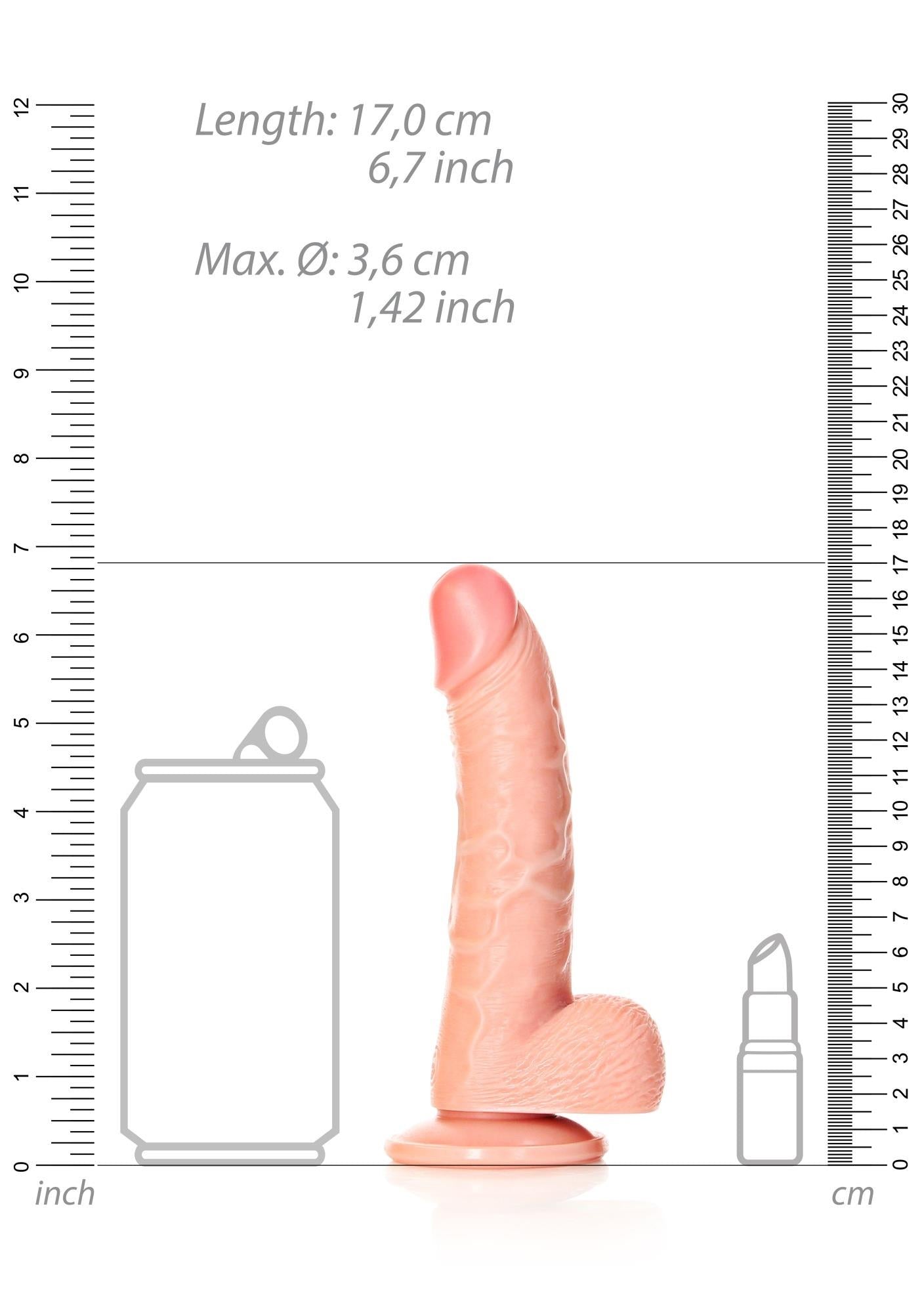 Curved Realistic Dildo with Balls and Suction Cup - 6 / 15,5 cm