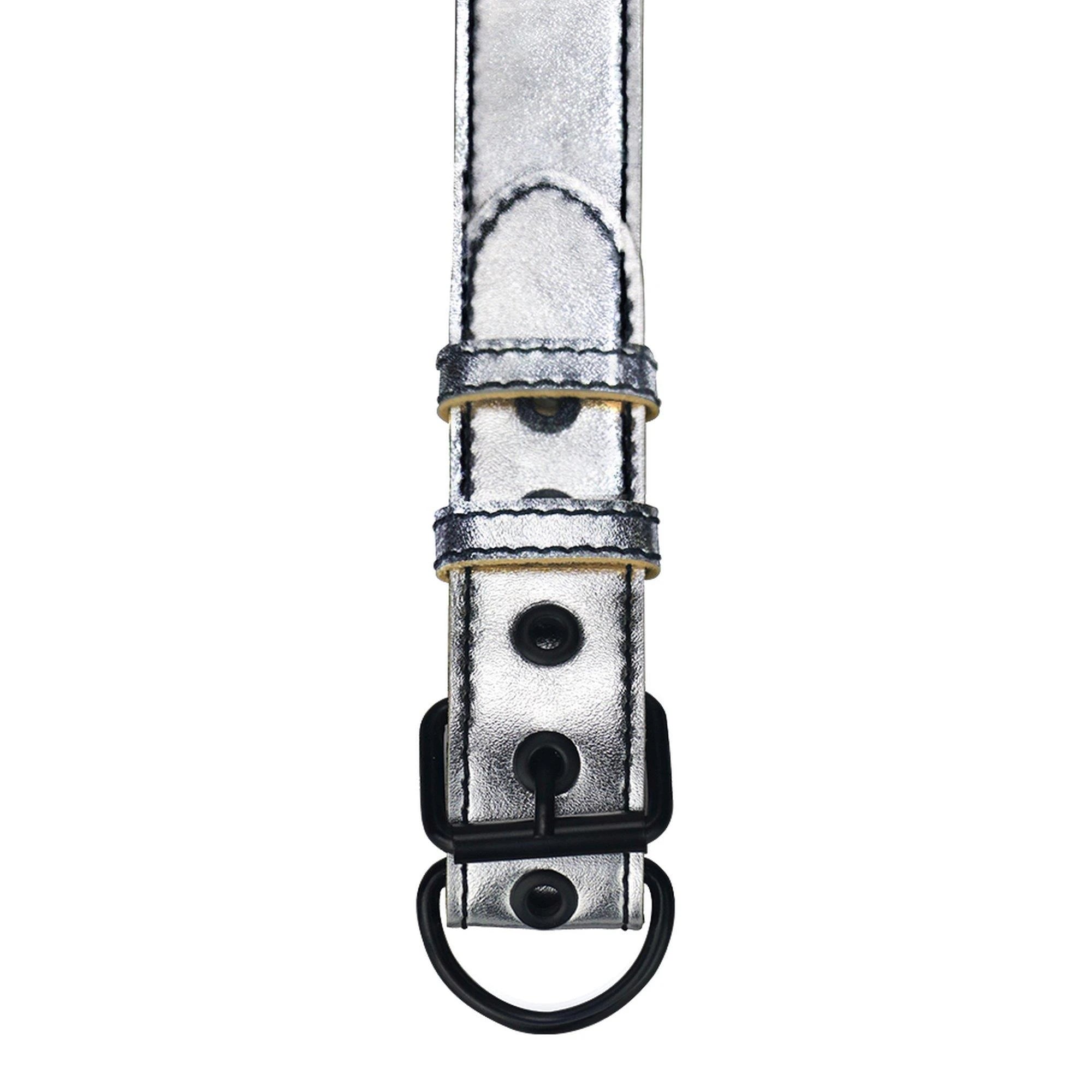 Bondage Fetish Metallic Pup Collar With Leash