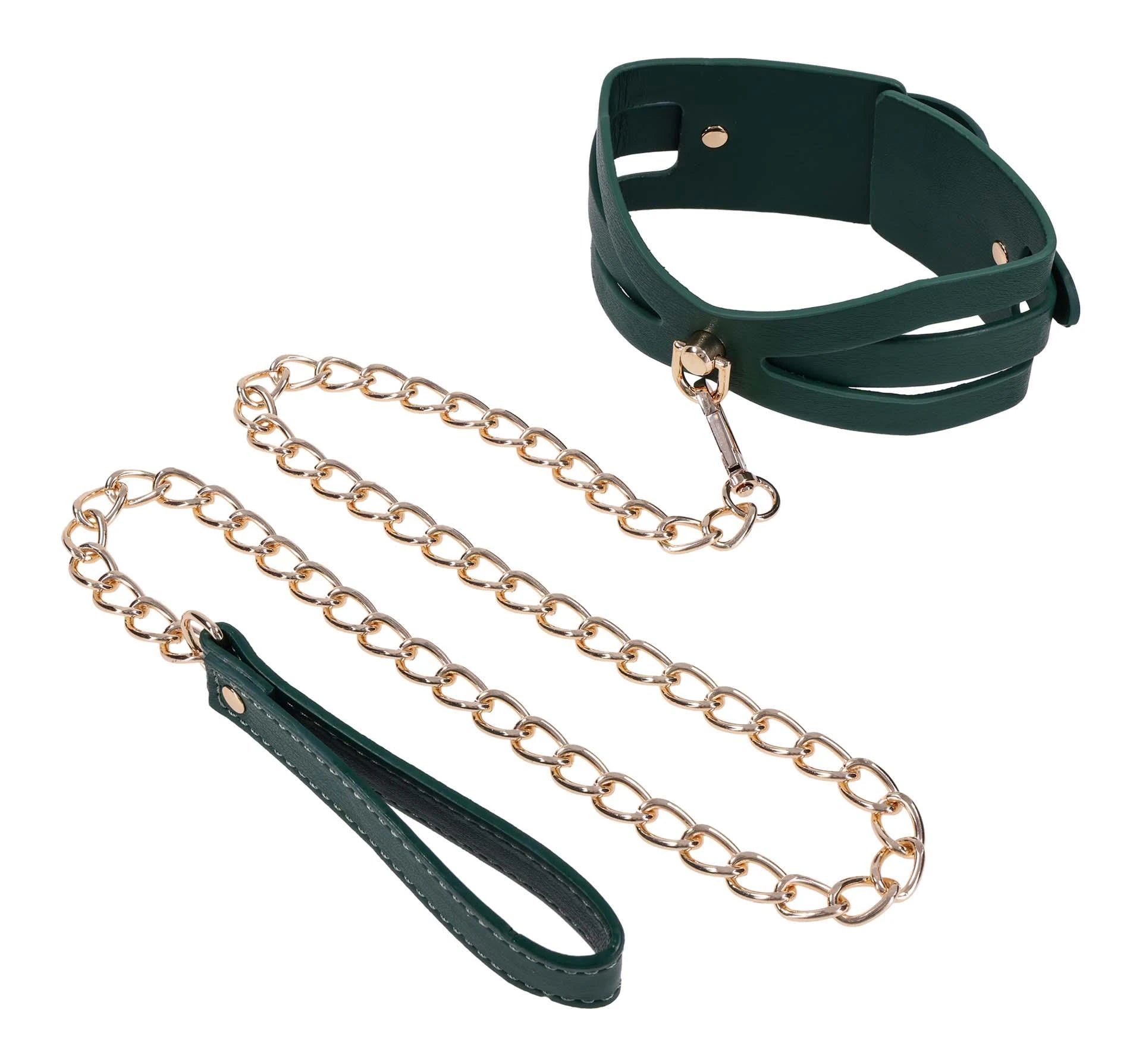 Collier et laisse découpés