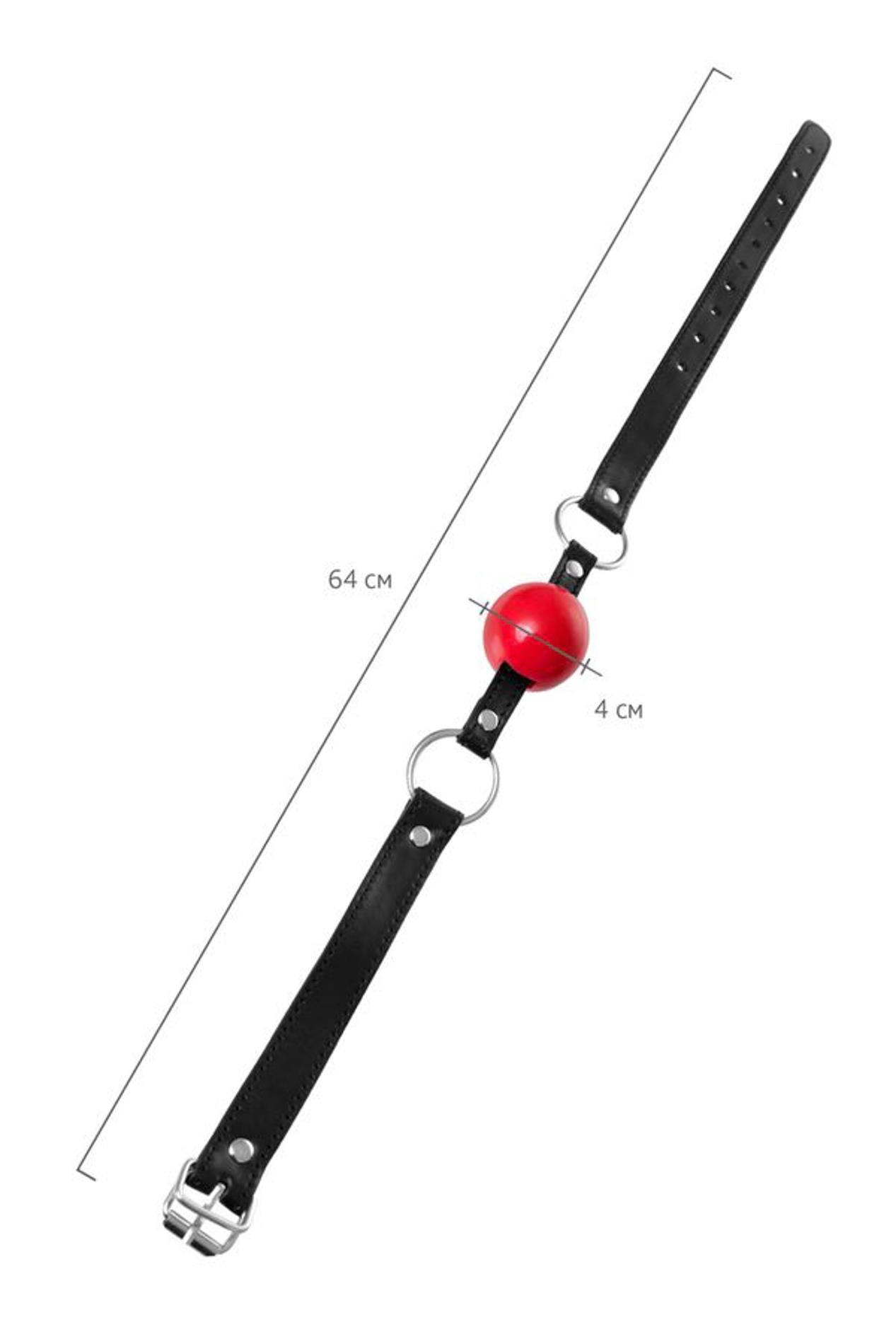 Anonymo gag, TPR, red, 64 cm