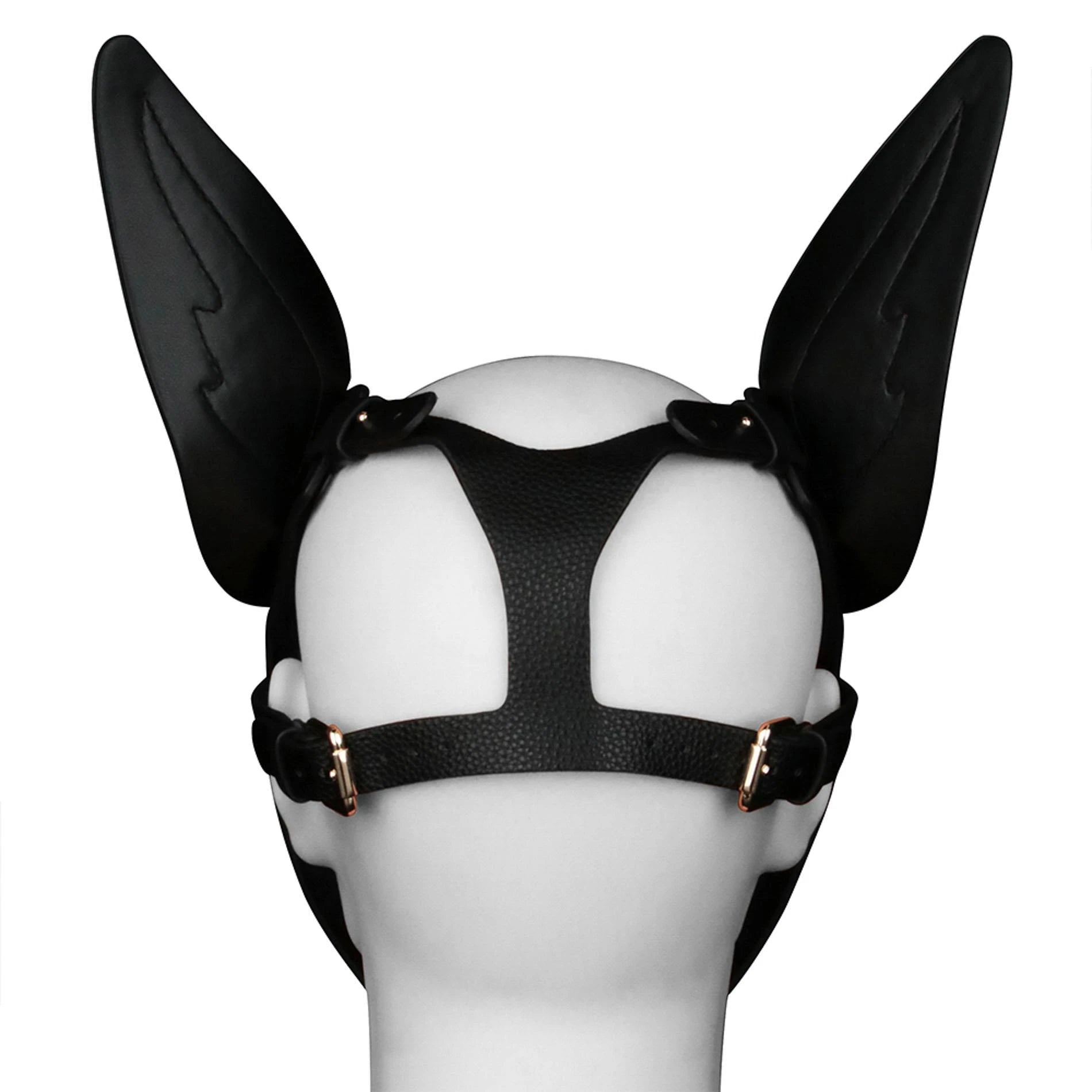 Masque Rebellion Reign Scarred Alpha Pup